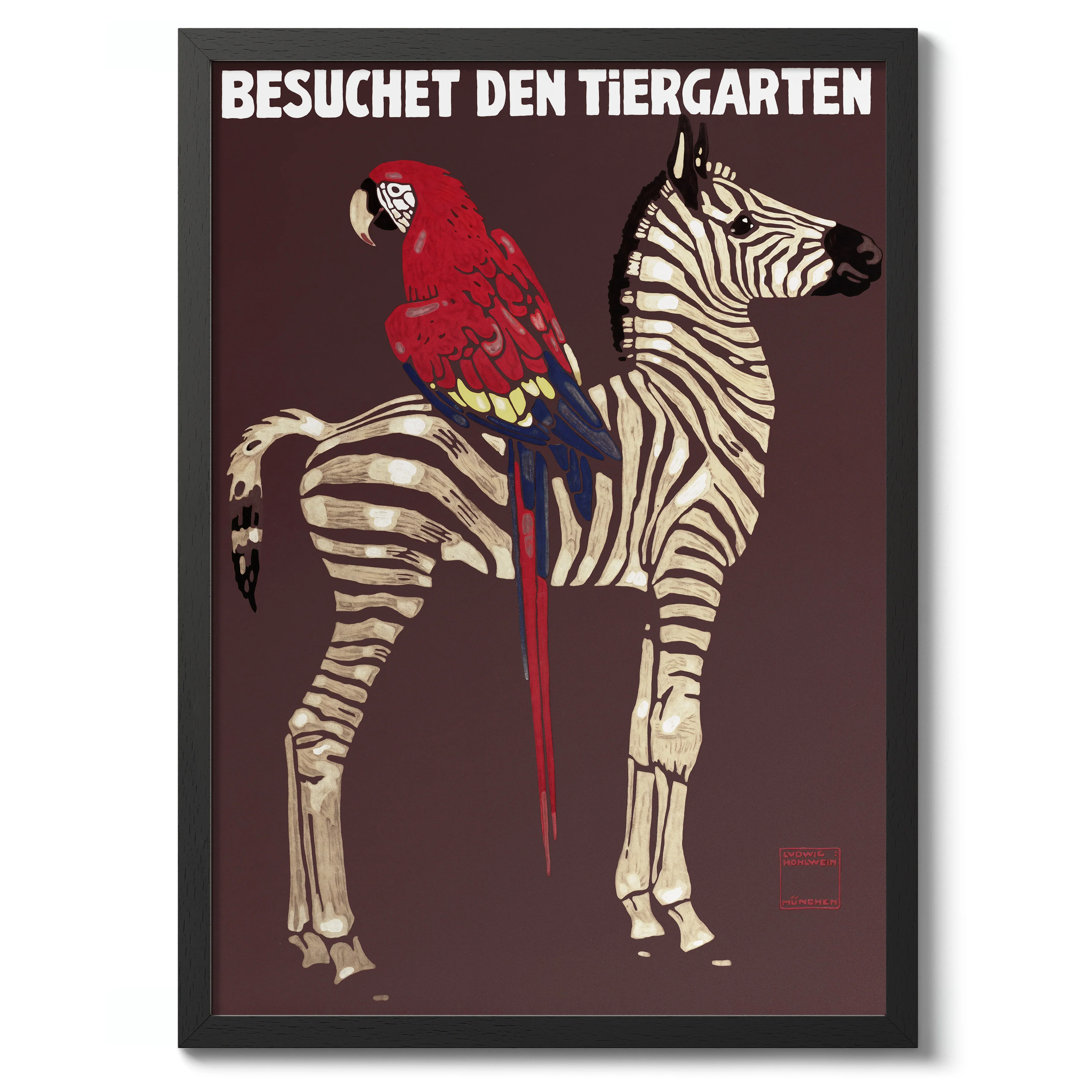1912 Parrot & Zebra, Munich - Image 2
