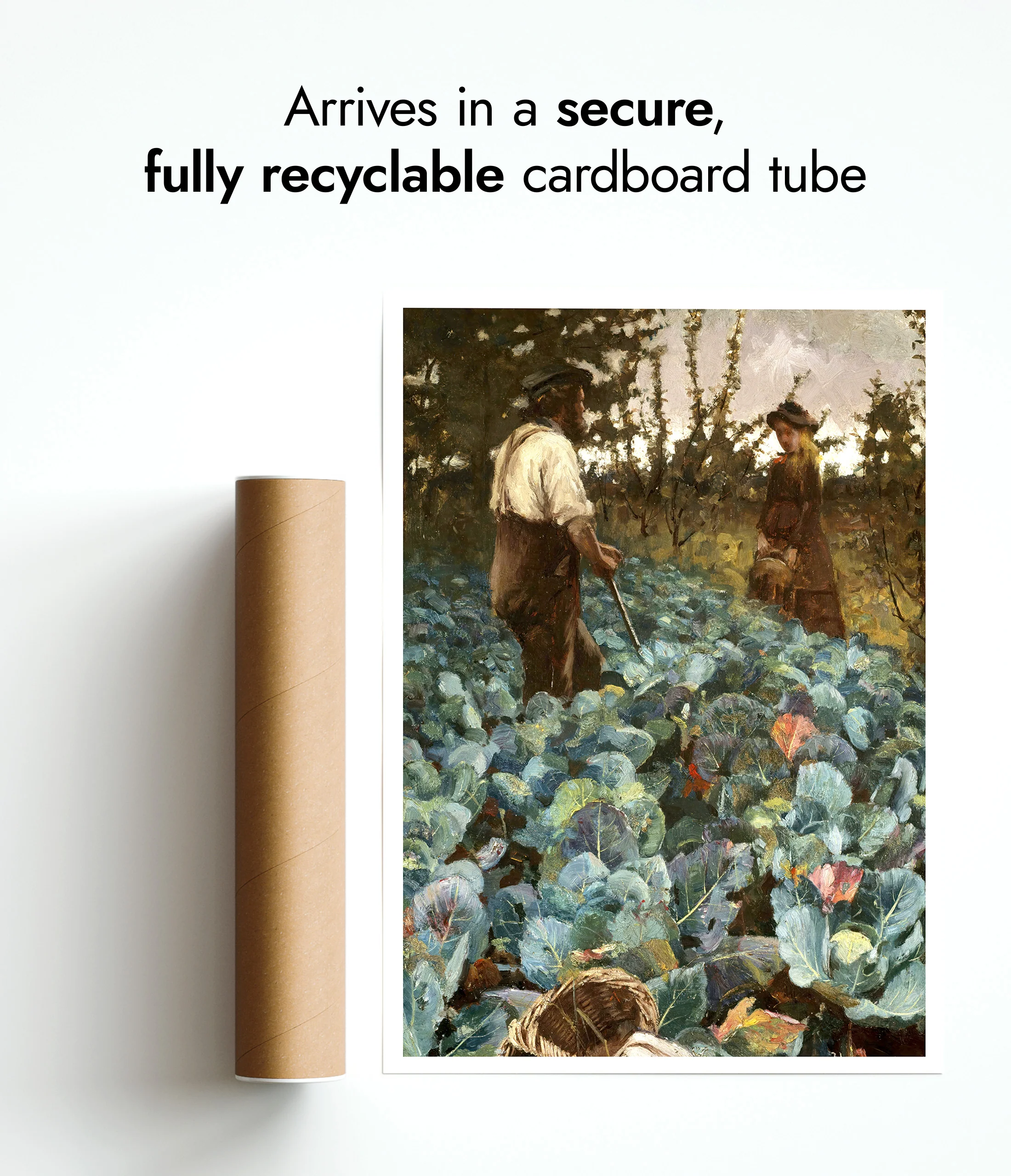 A Cabbage Garden - Image 9