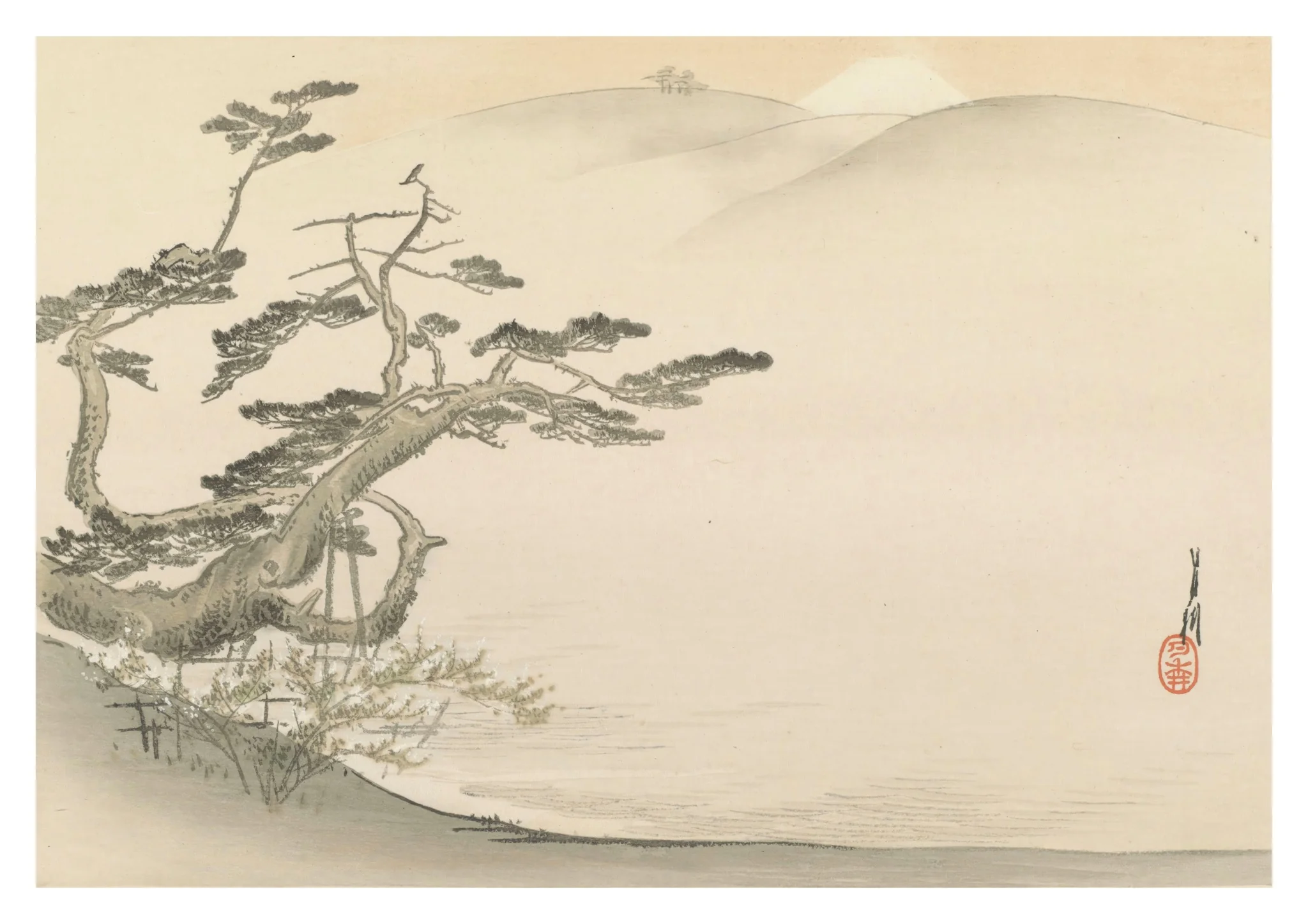 A Single Tree on Mount Fuji