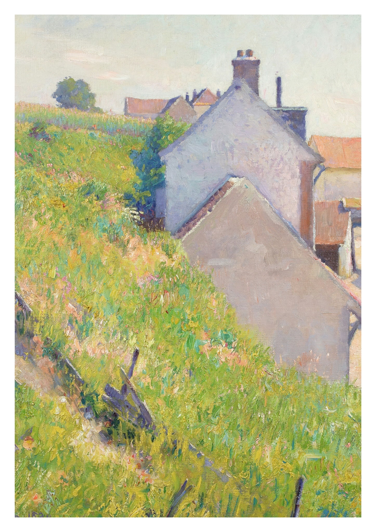 A Sunlit Hillside