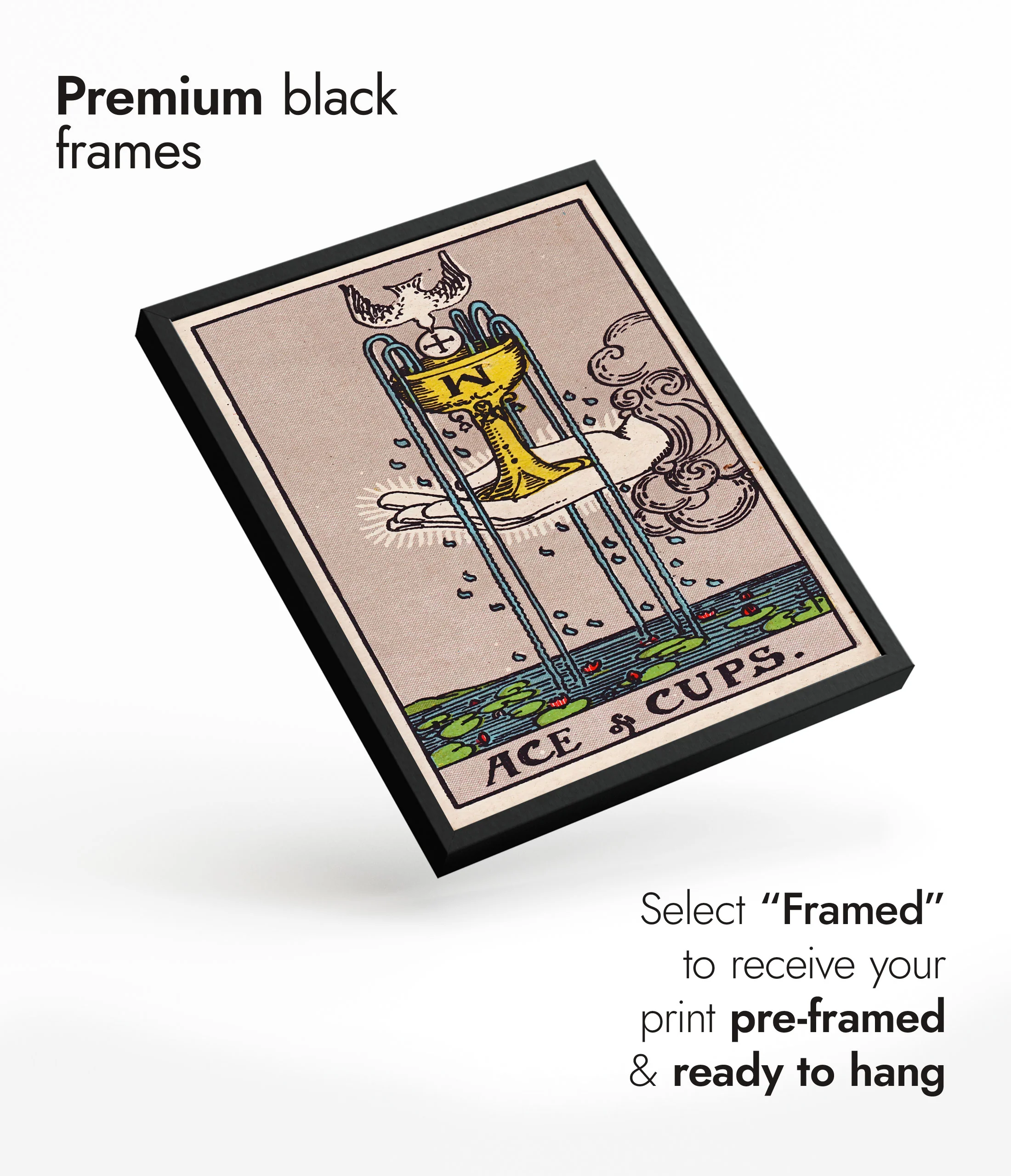 Ace of Cups - Image 7