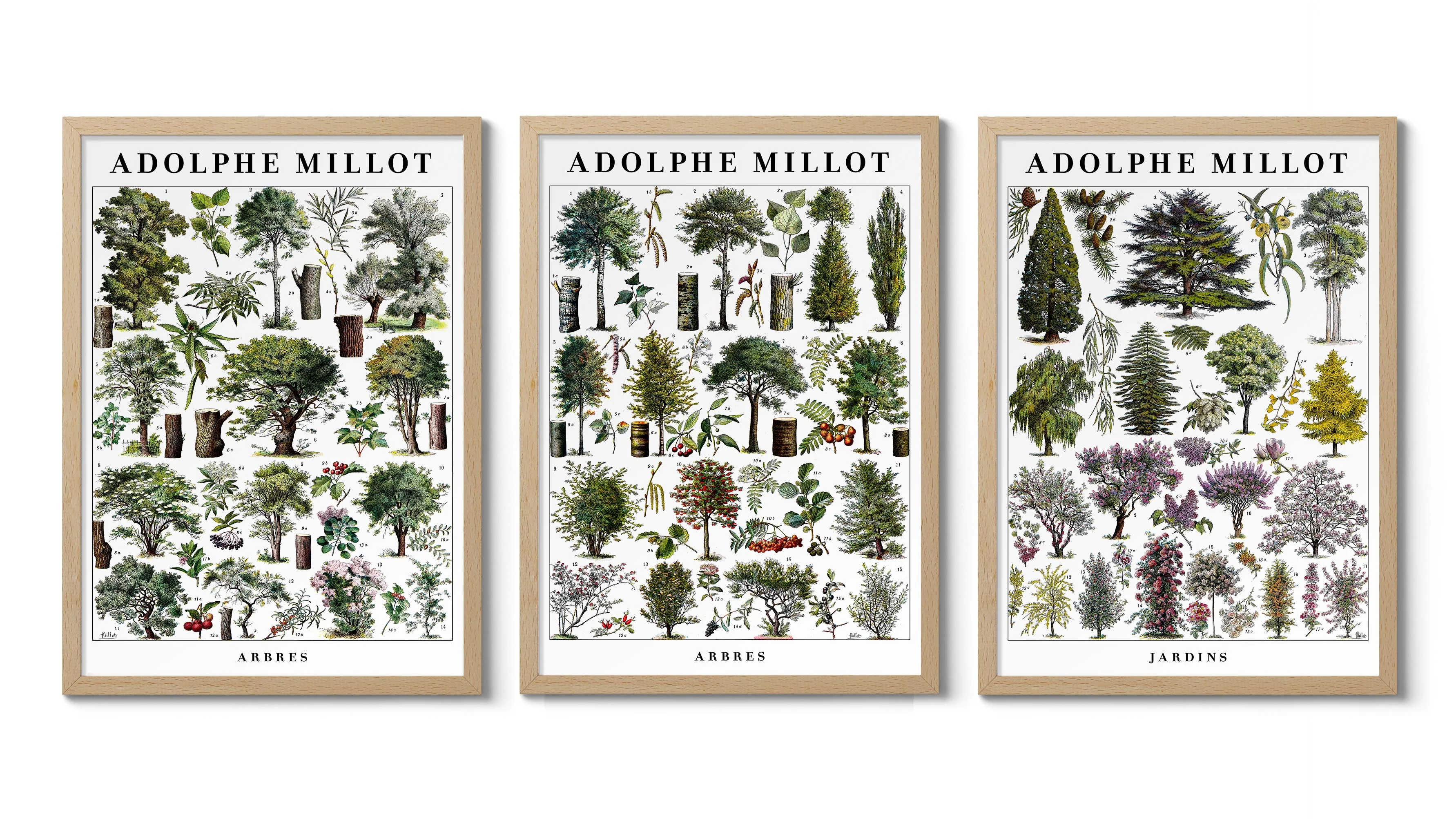 Adolphe Millot Trees - Set of 3 - Image 2