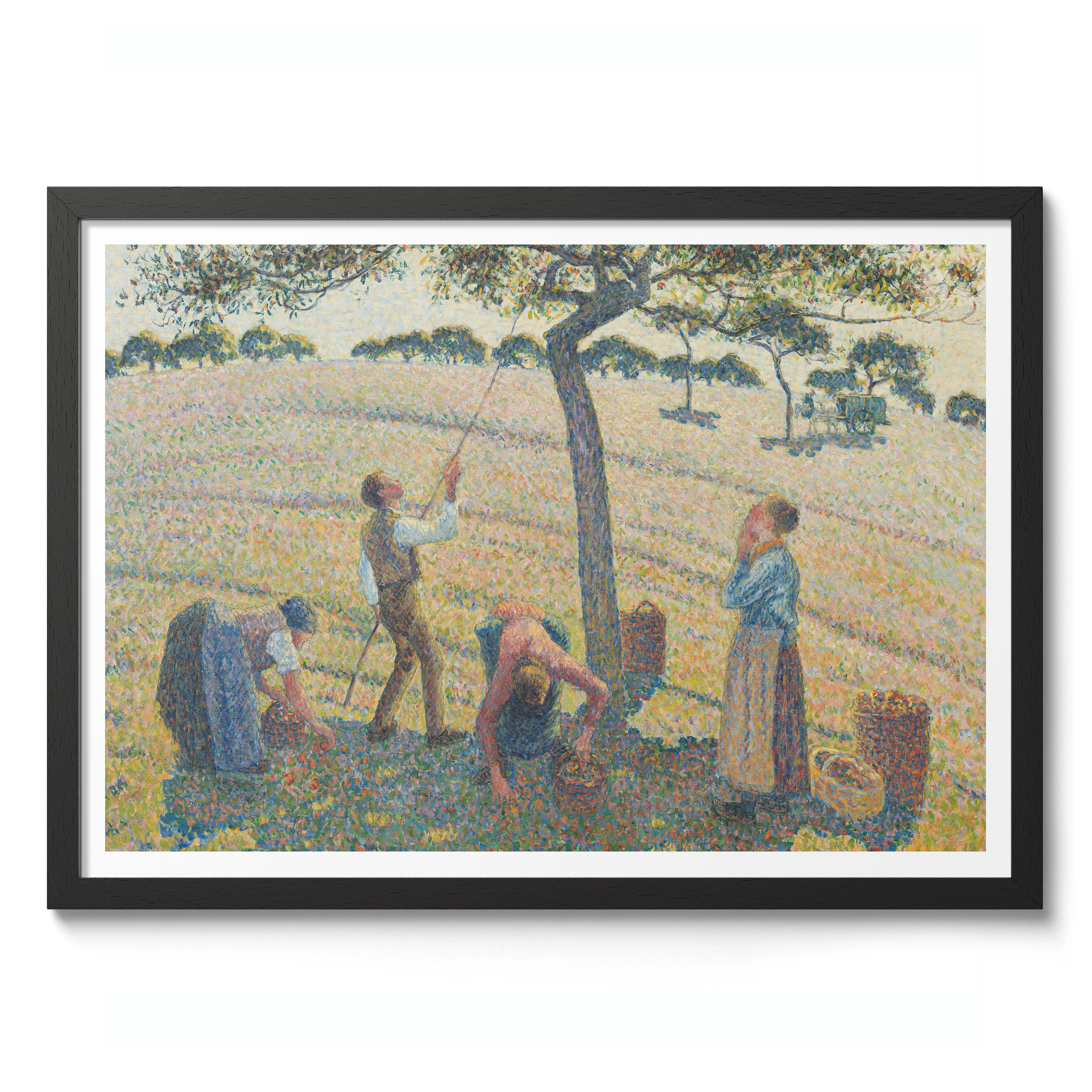 Apple Harvest - Image 2