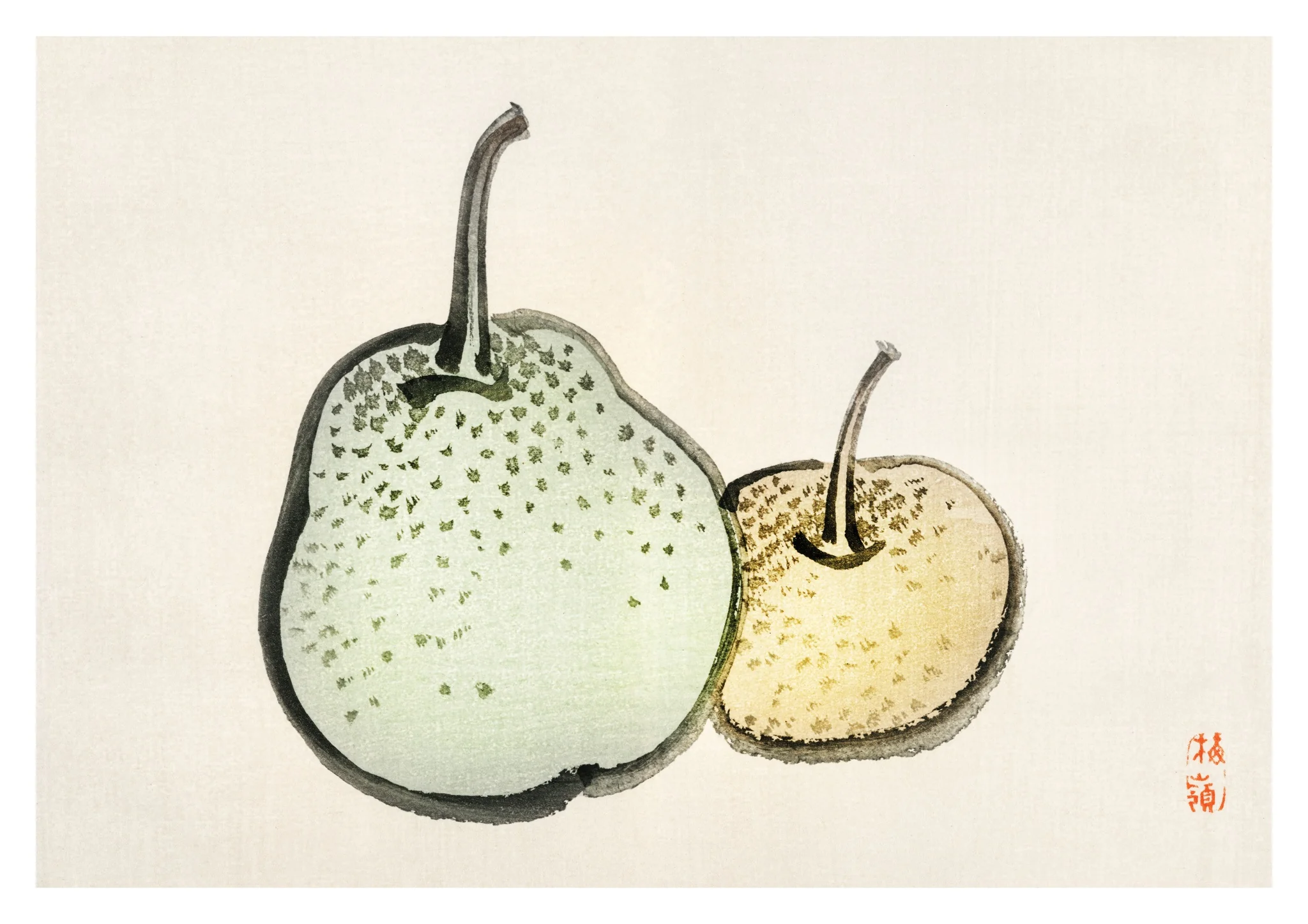 Asian Pears