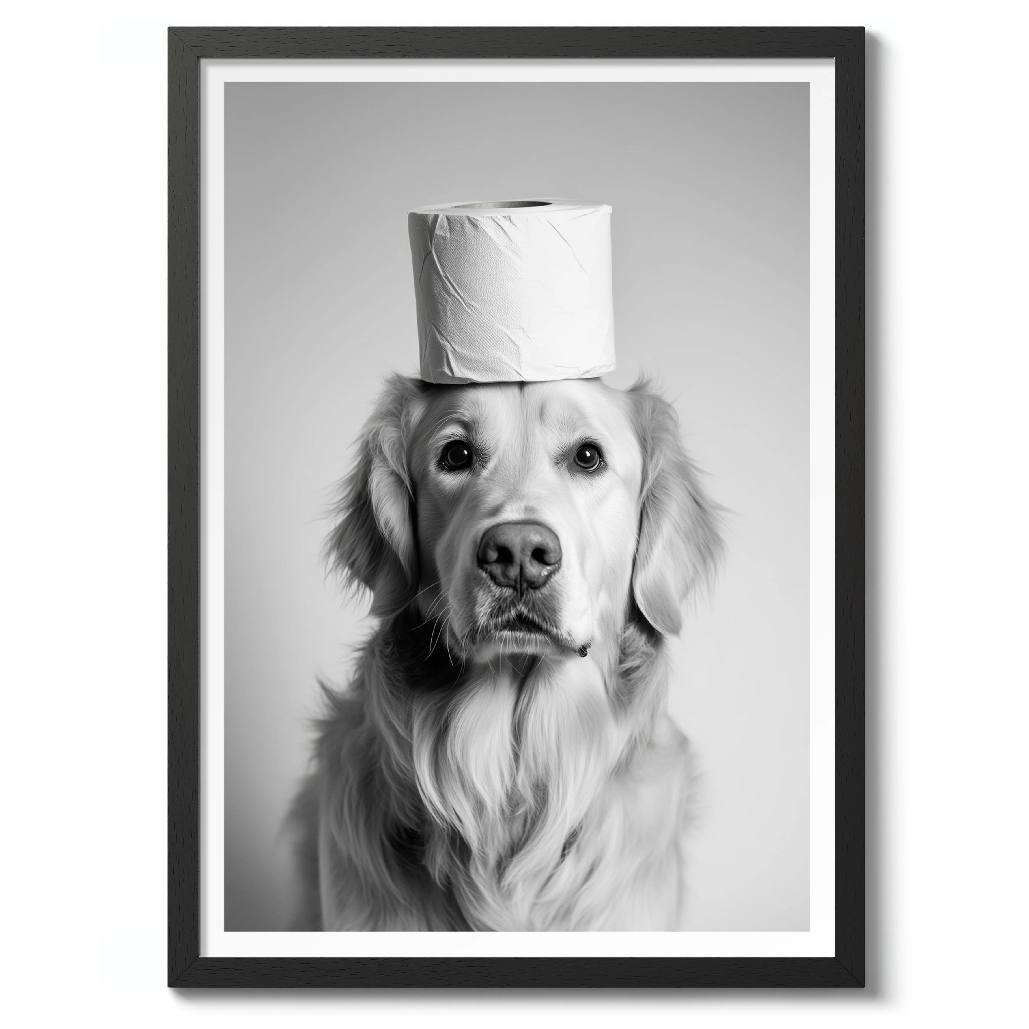 Bark & Roll - Image 2