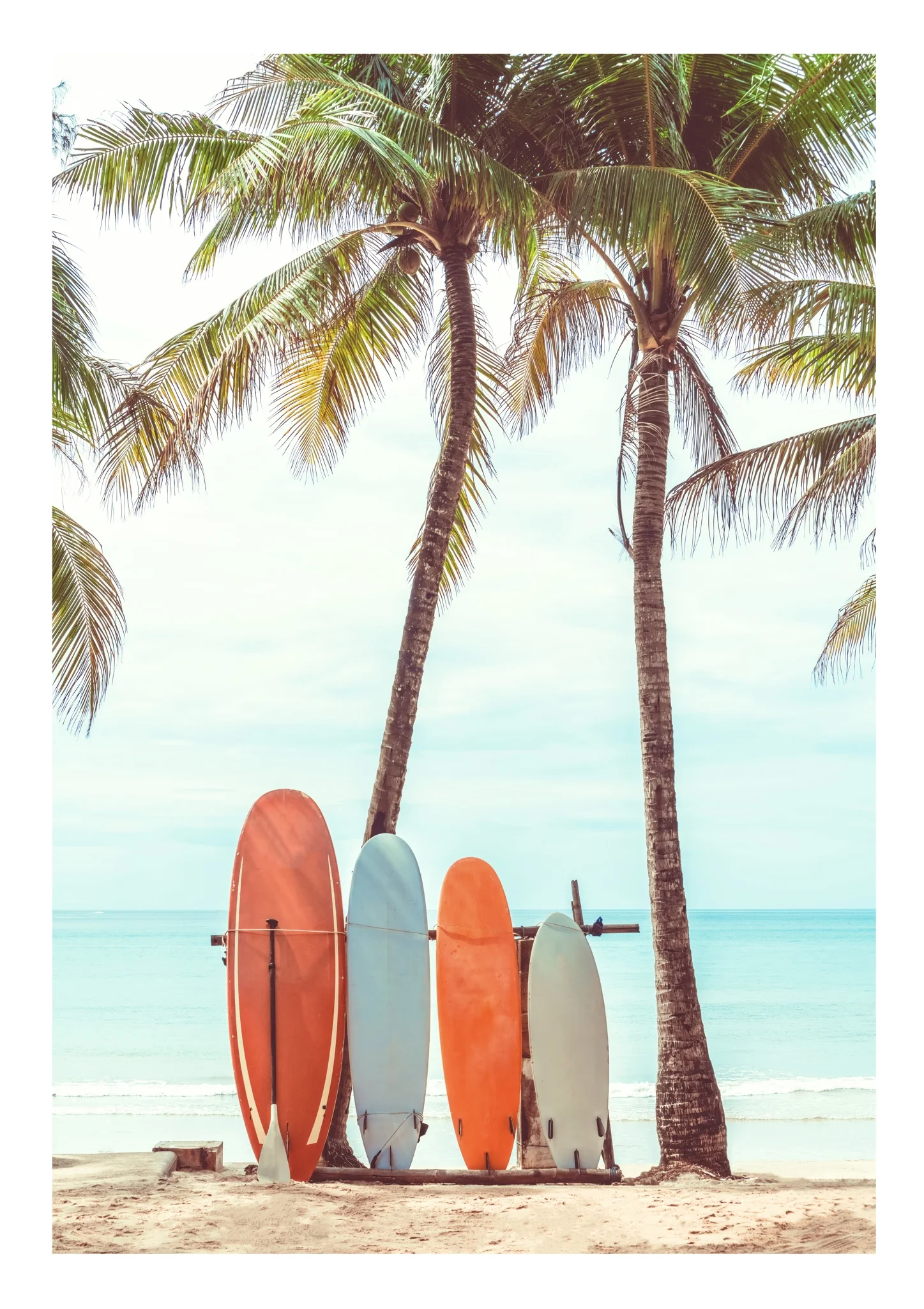 Beach Boards