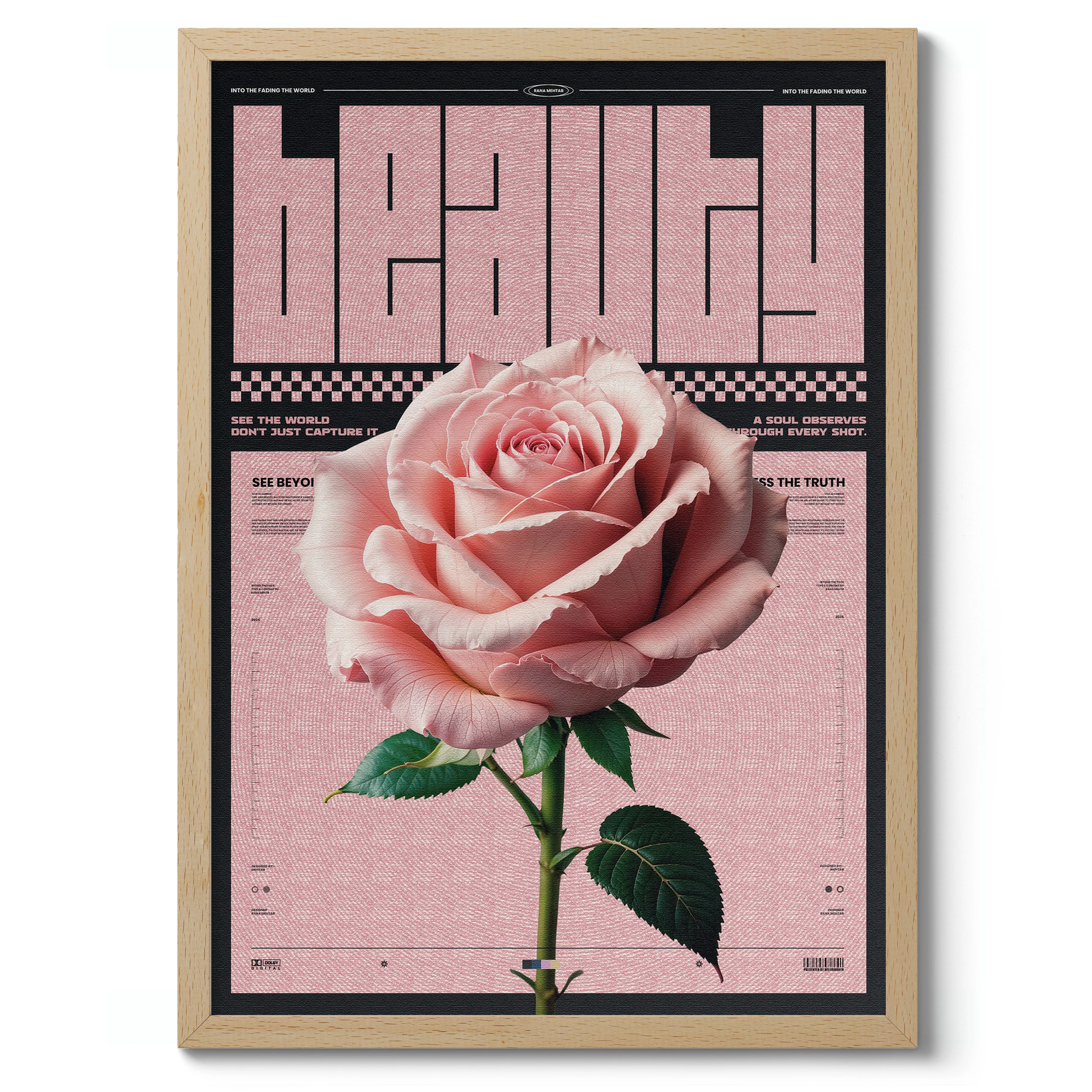 Beauty - Image 3