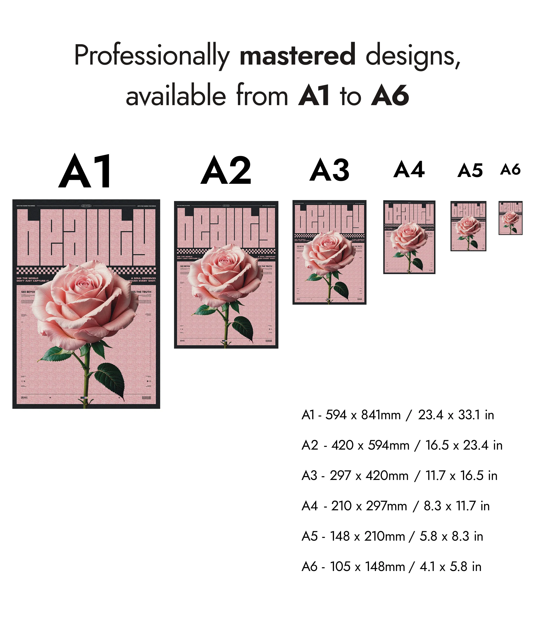 Beauty - Image 8