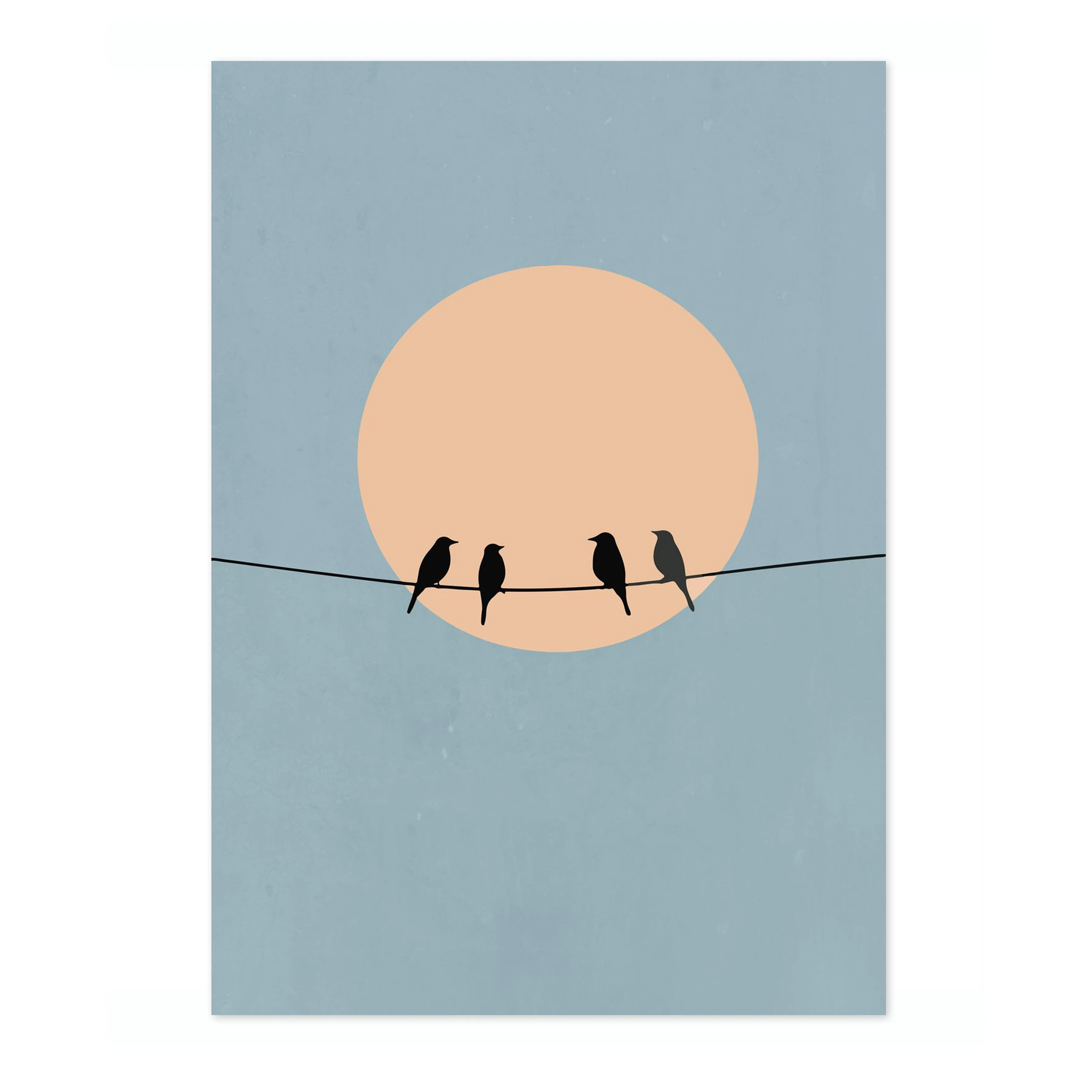 Birds on a Wire - Image 4