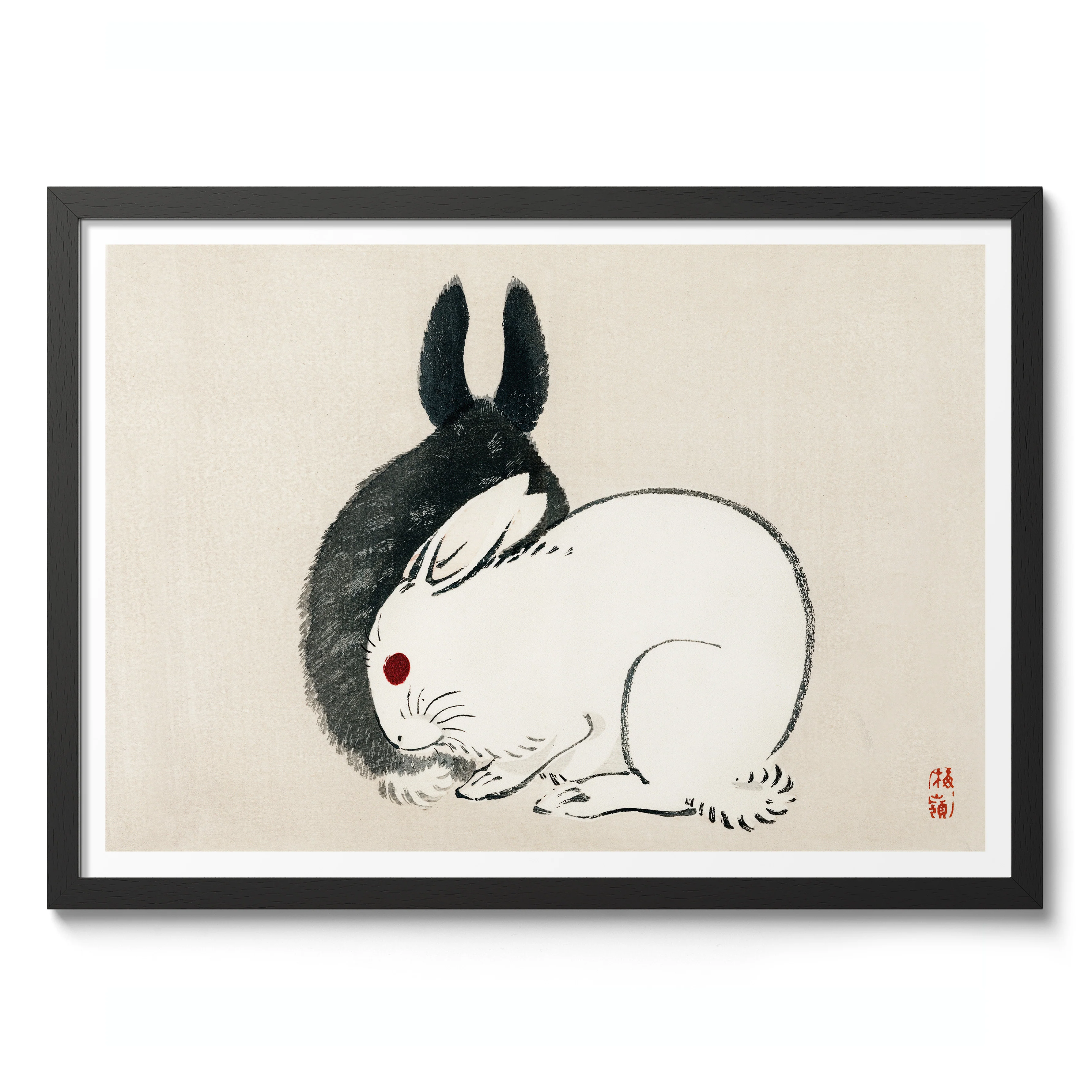 Black and White Rabbits - Image 2