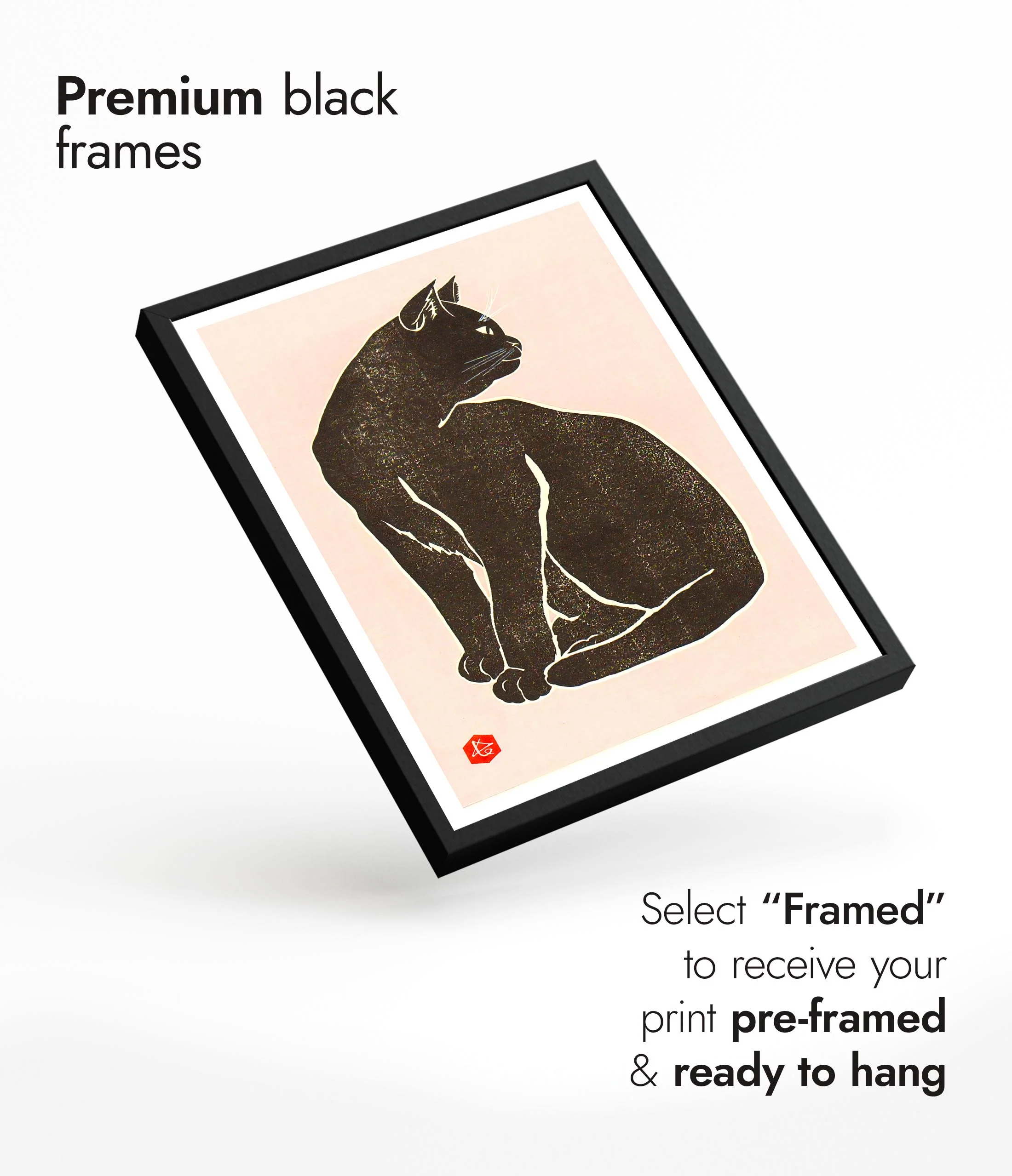 Black Cat - Image 7