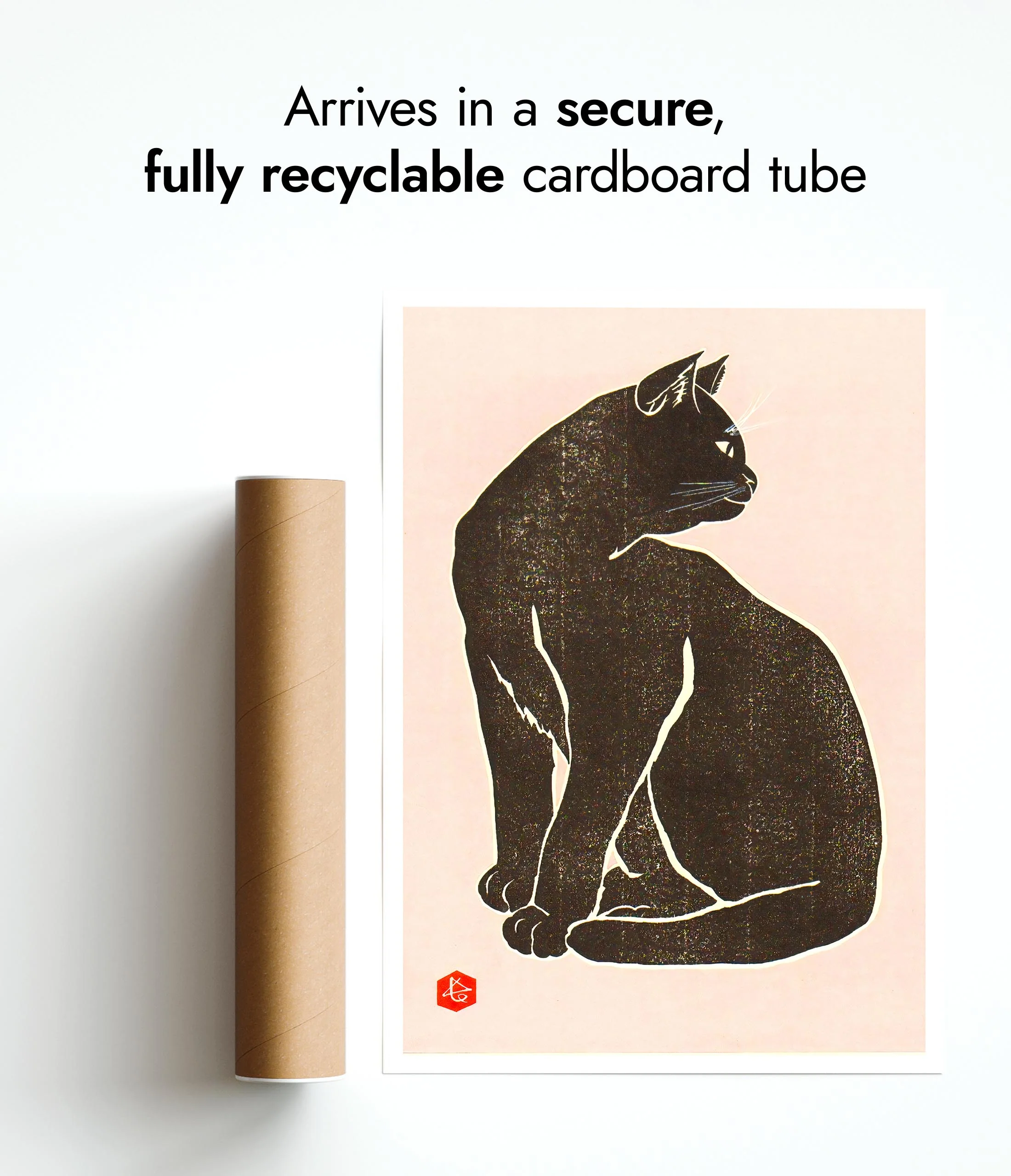 Black Cat - Image 9