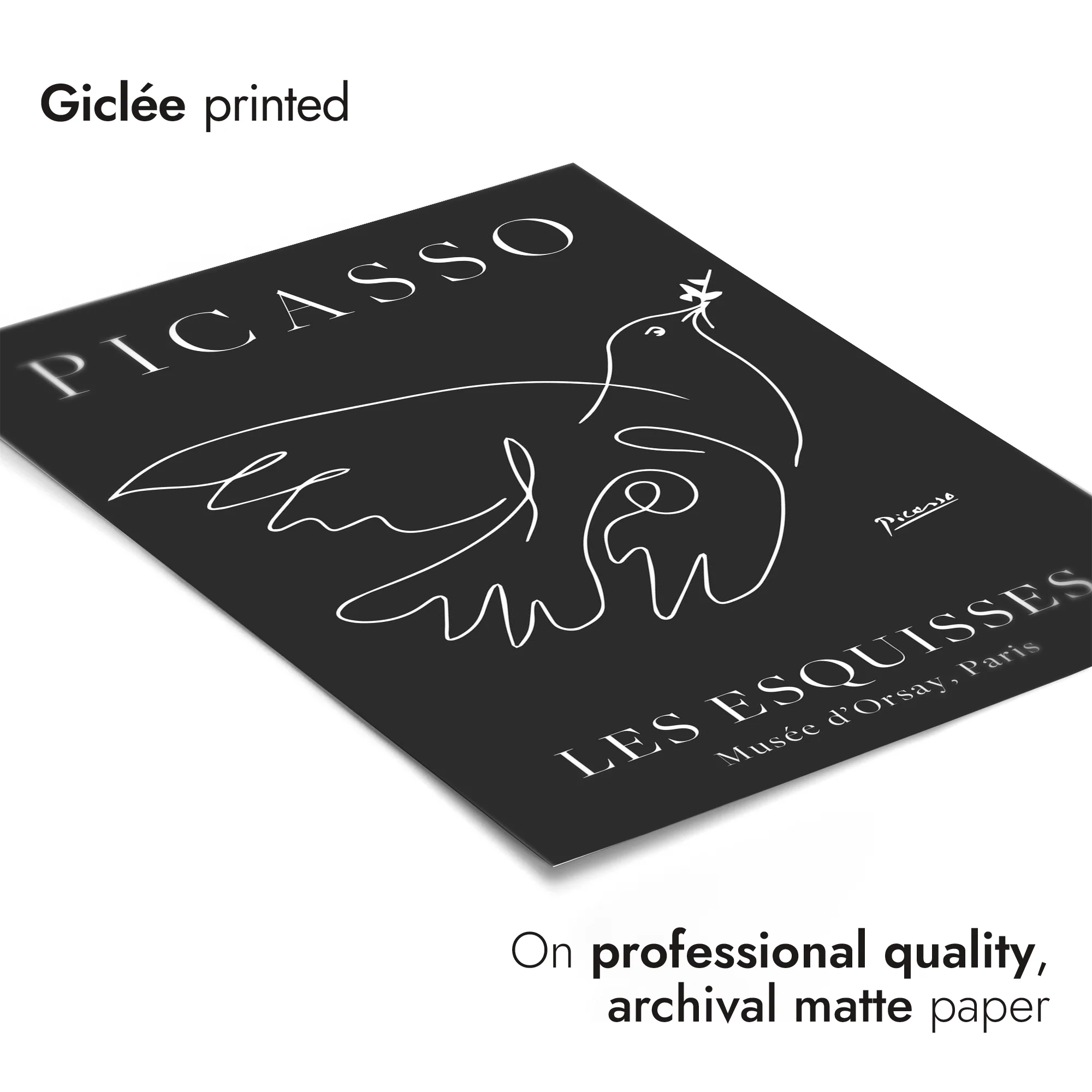 Black Dove - Image 6
