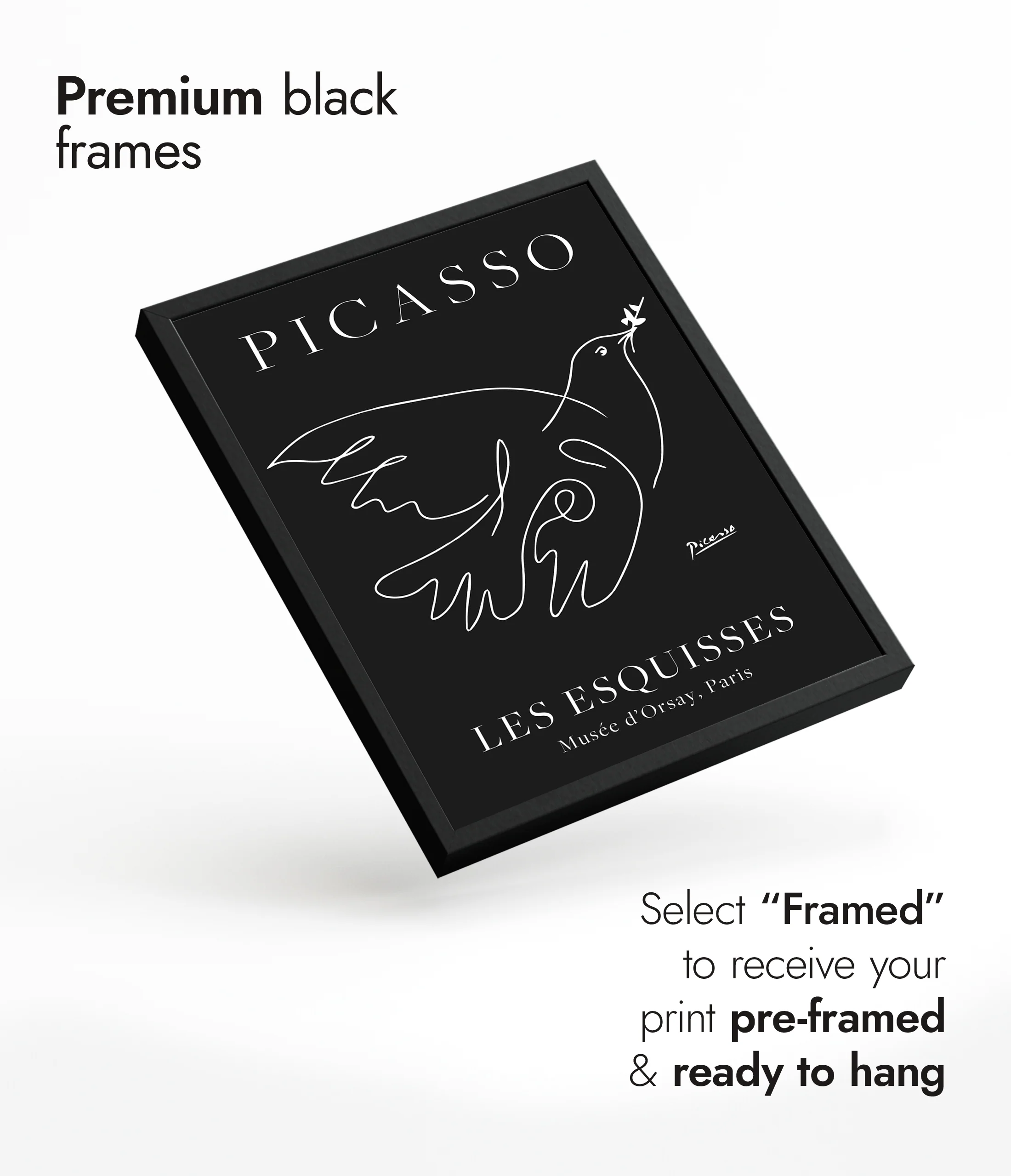 Black Dove - Image 7