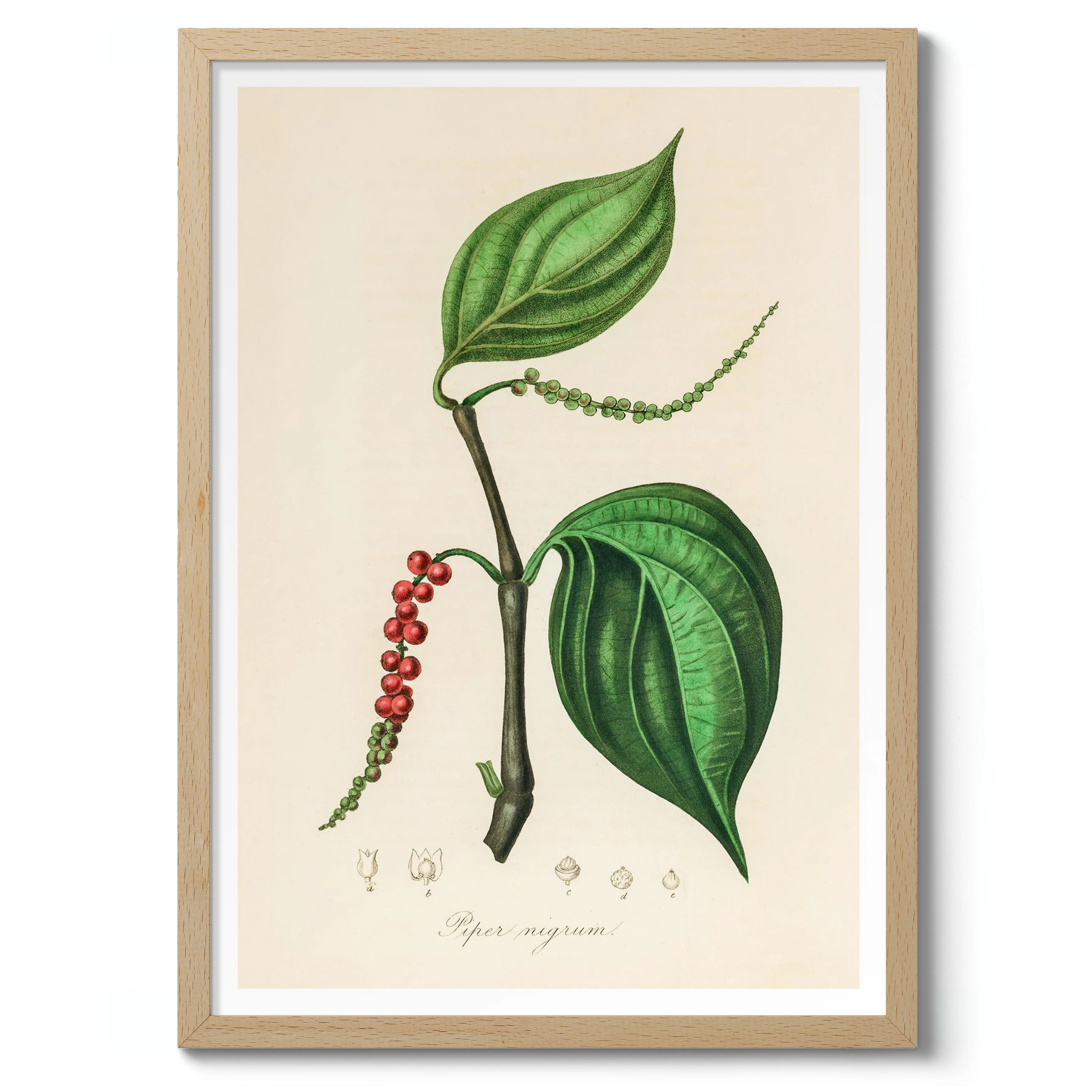 Black Pepper - Image 3
