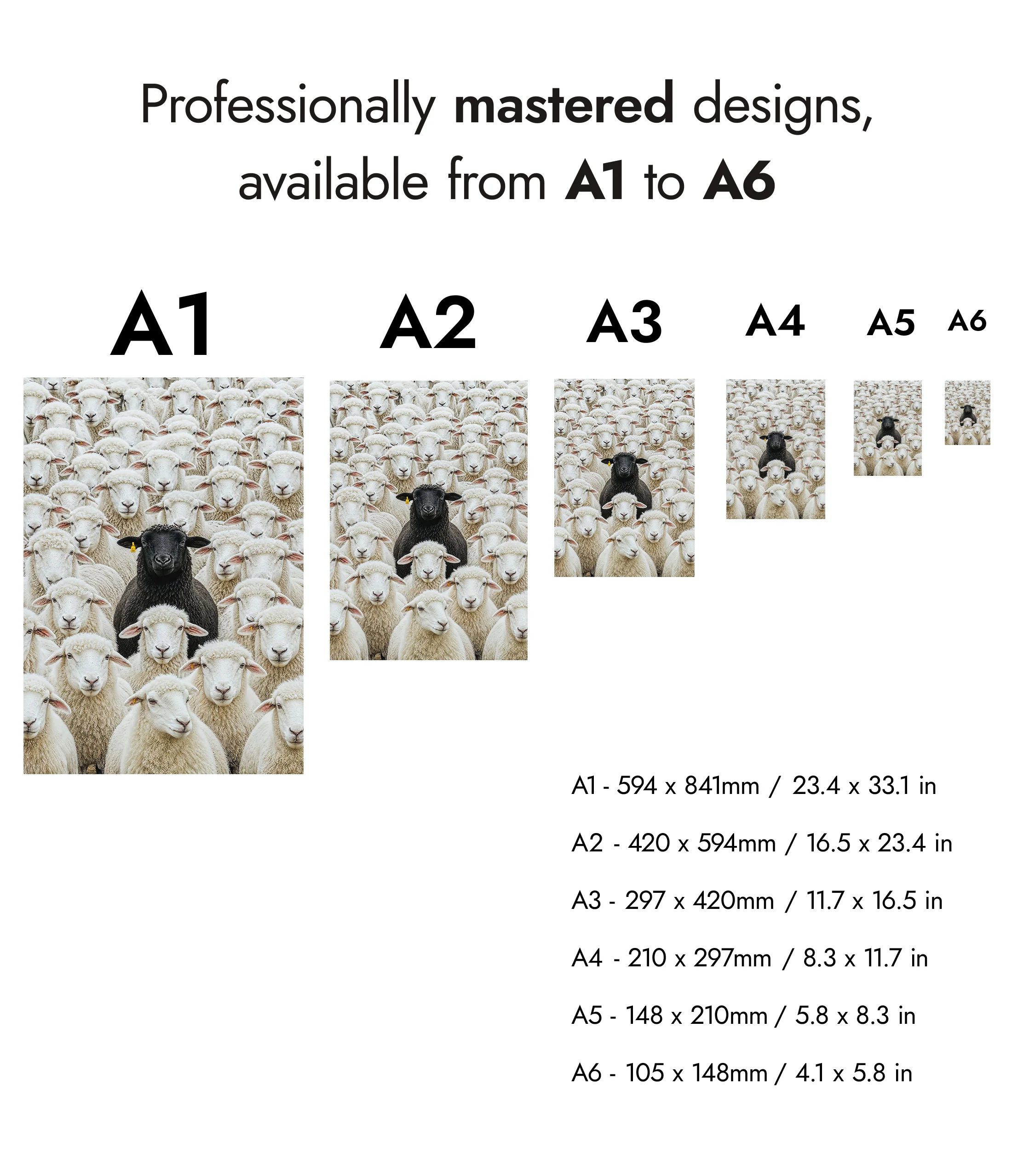 Black Sheep - Image 8