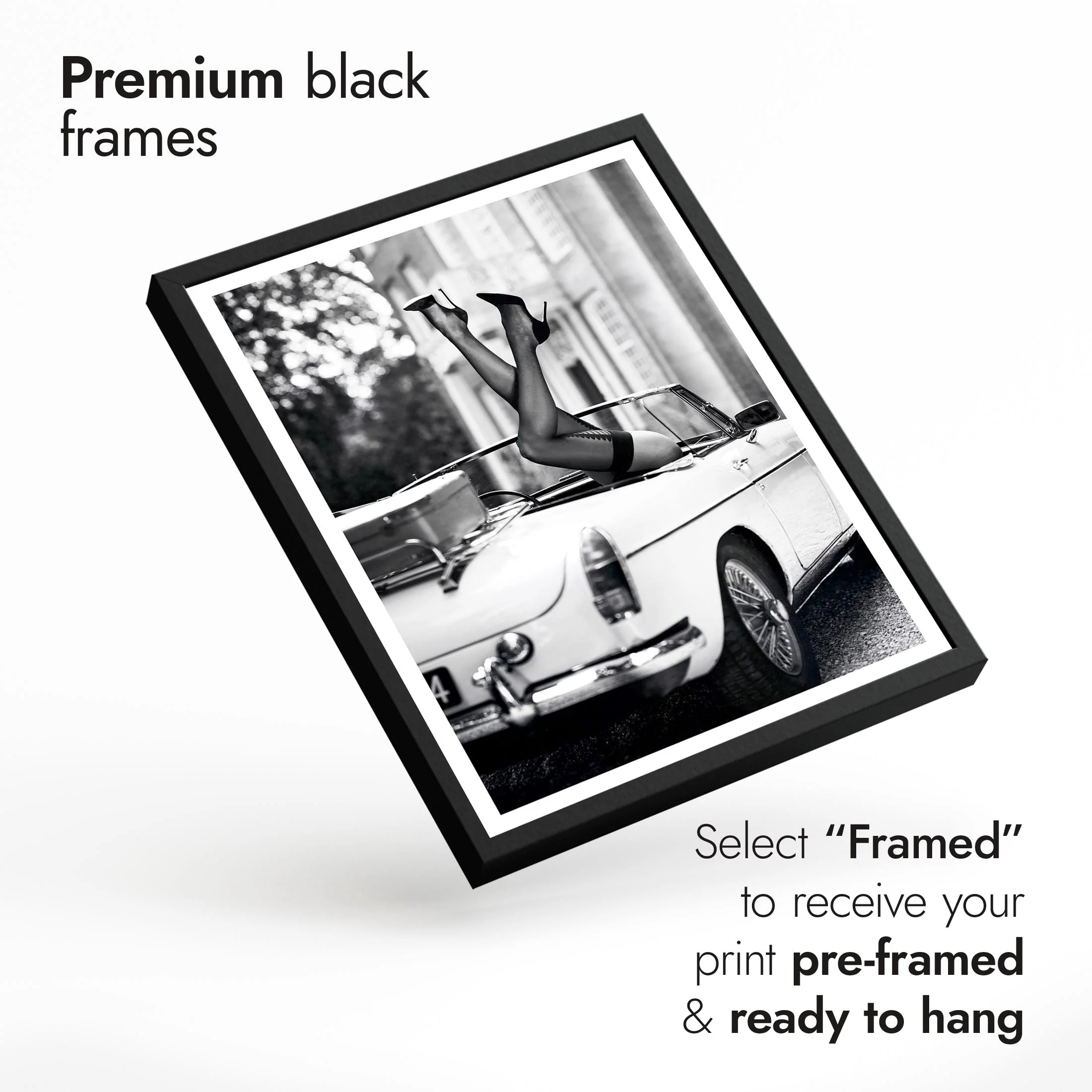 Black & White Selection II - Image 6