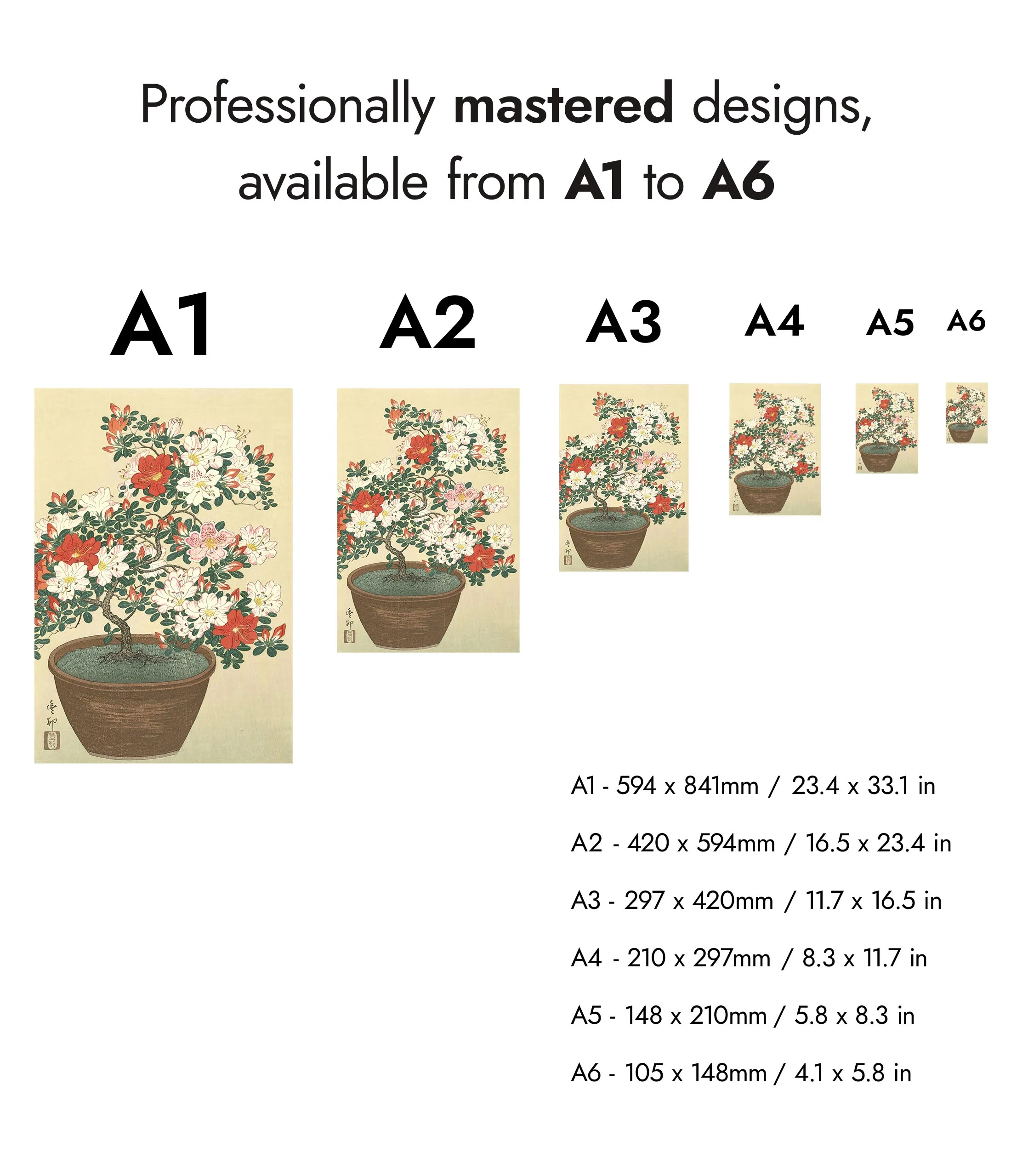 Blooming Azalea in Brown Pot - Image 8