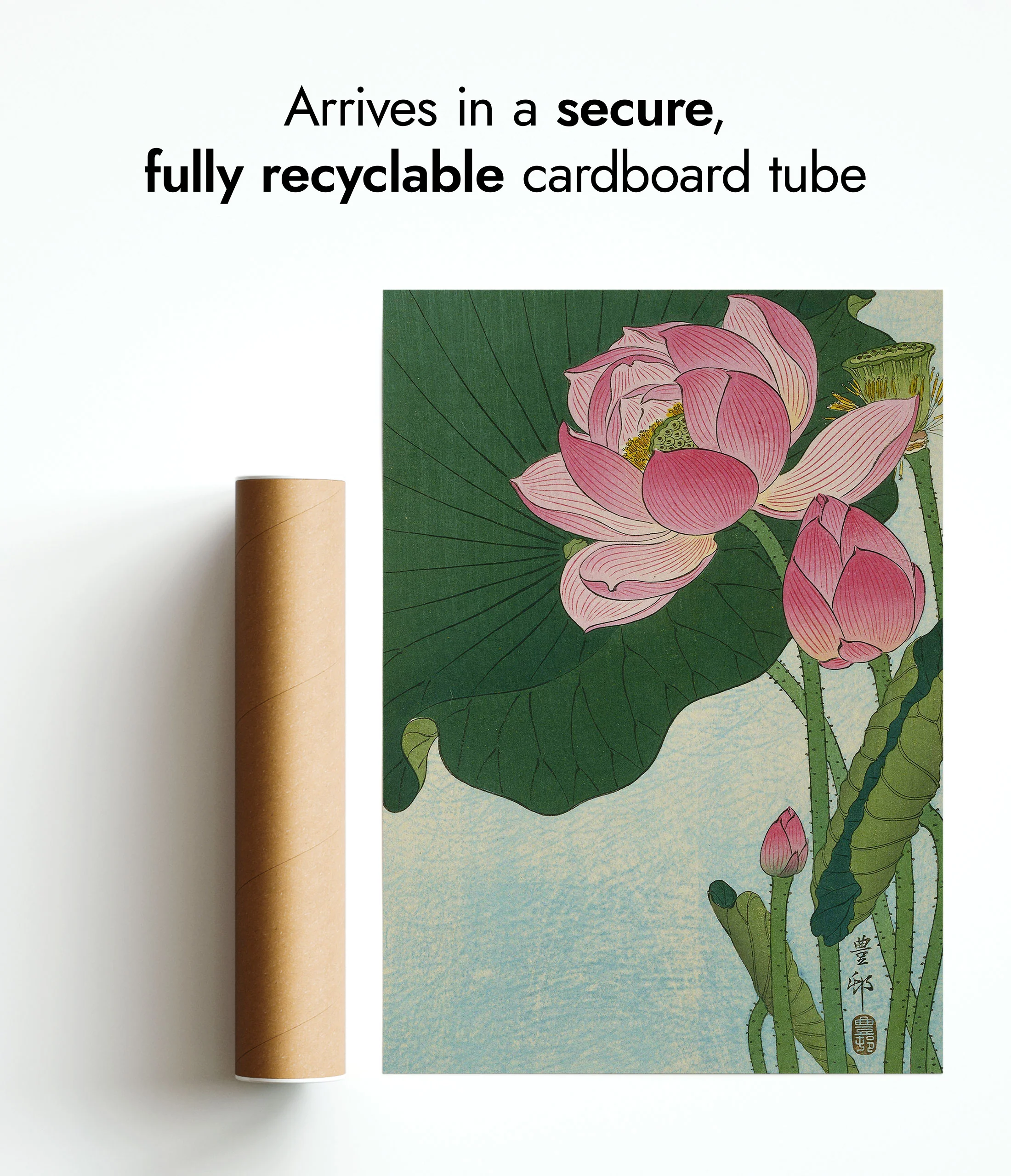 Blooming Lotus Flowers - Image 9