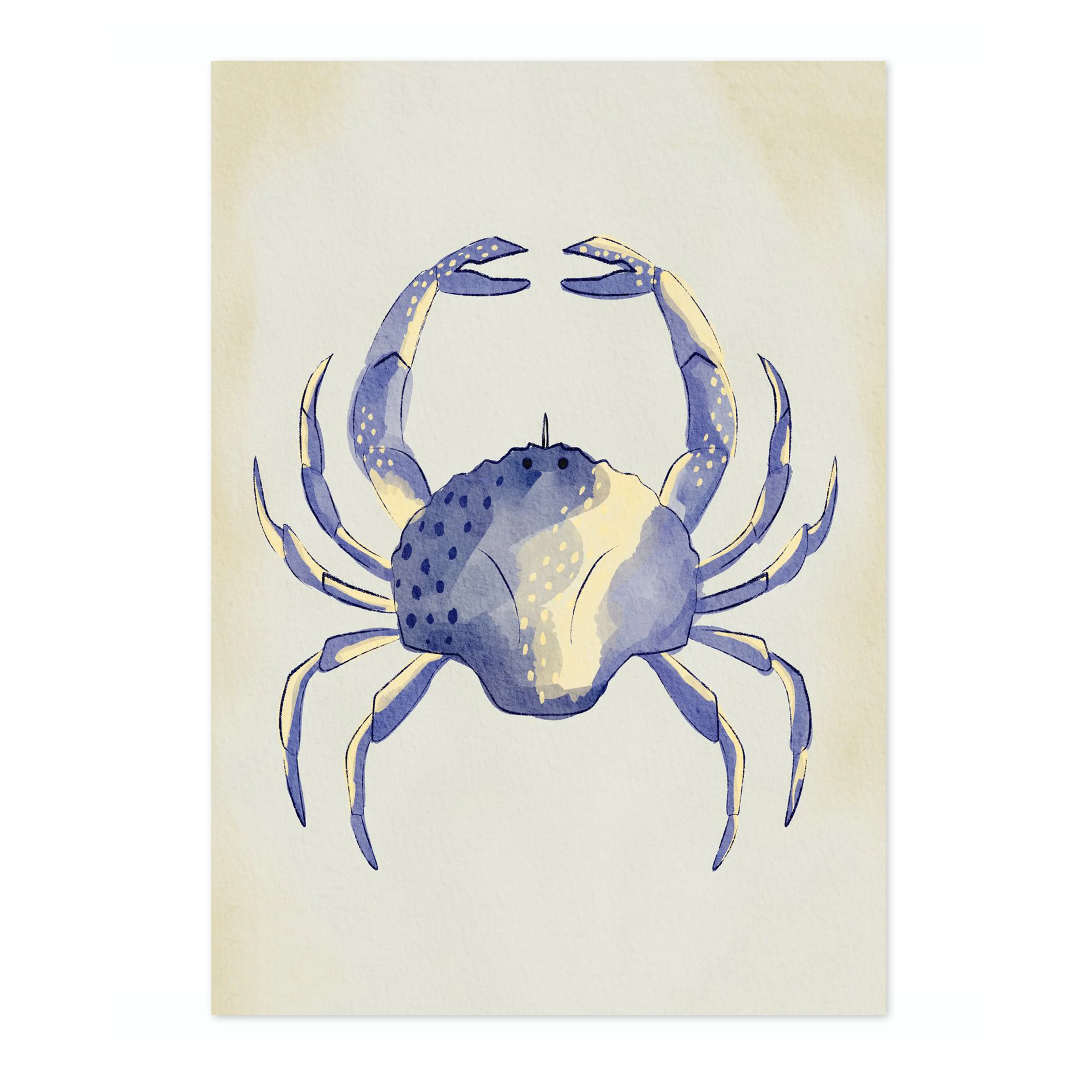 Blue Crab - Image 4