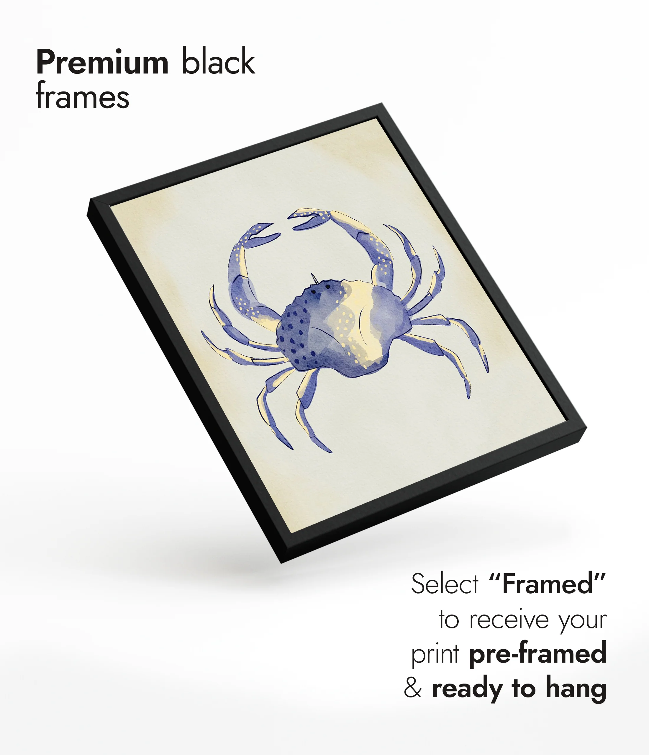 Blue Crab - Image 7