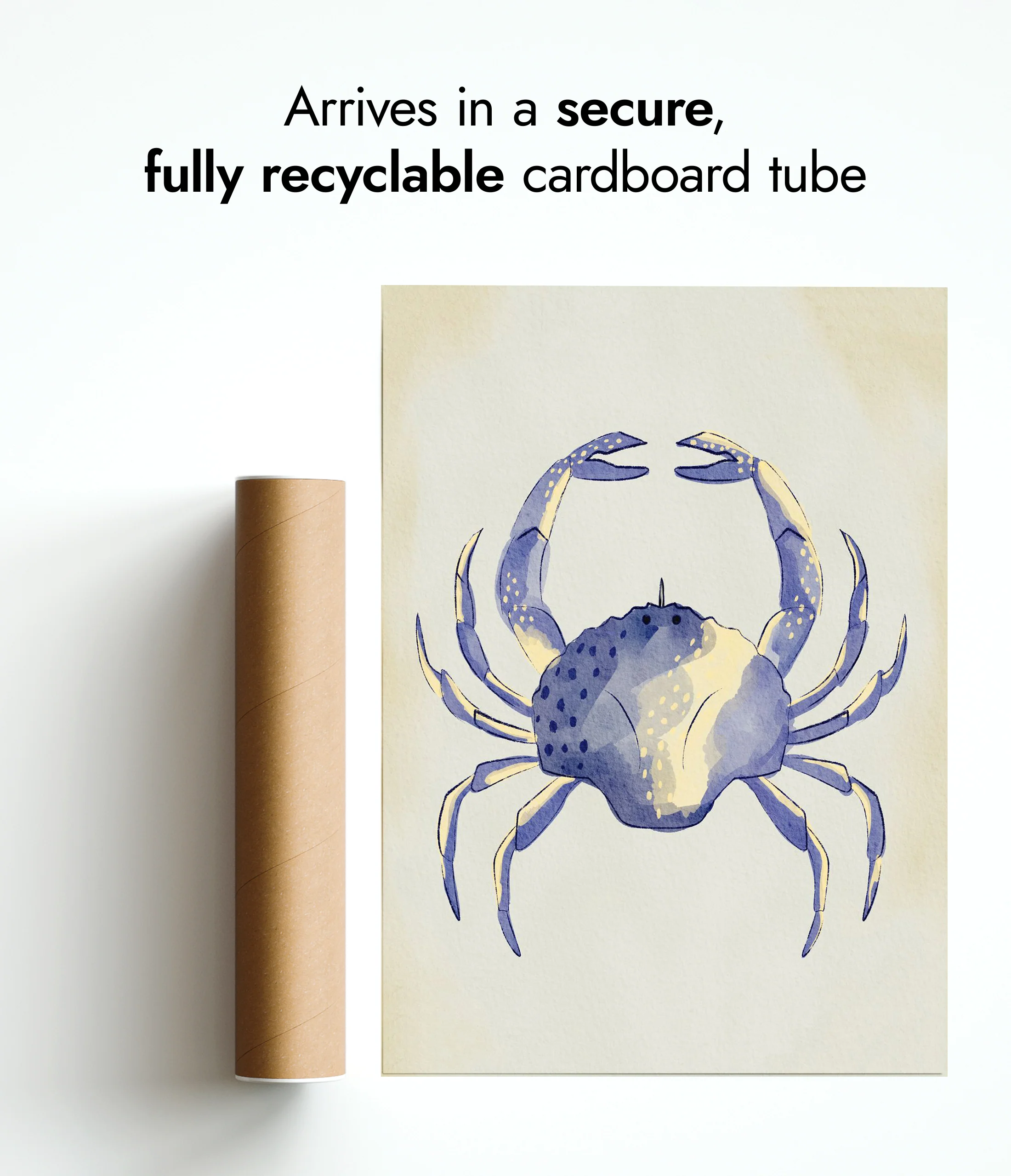 Blue Crab - Image 9