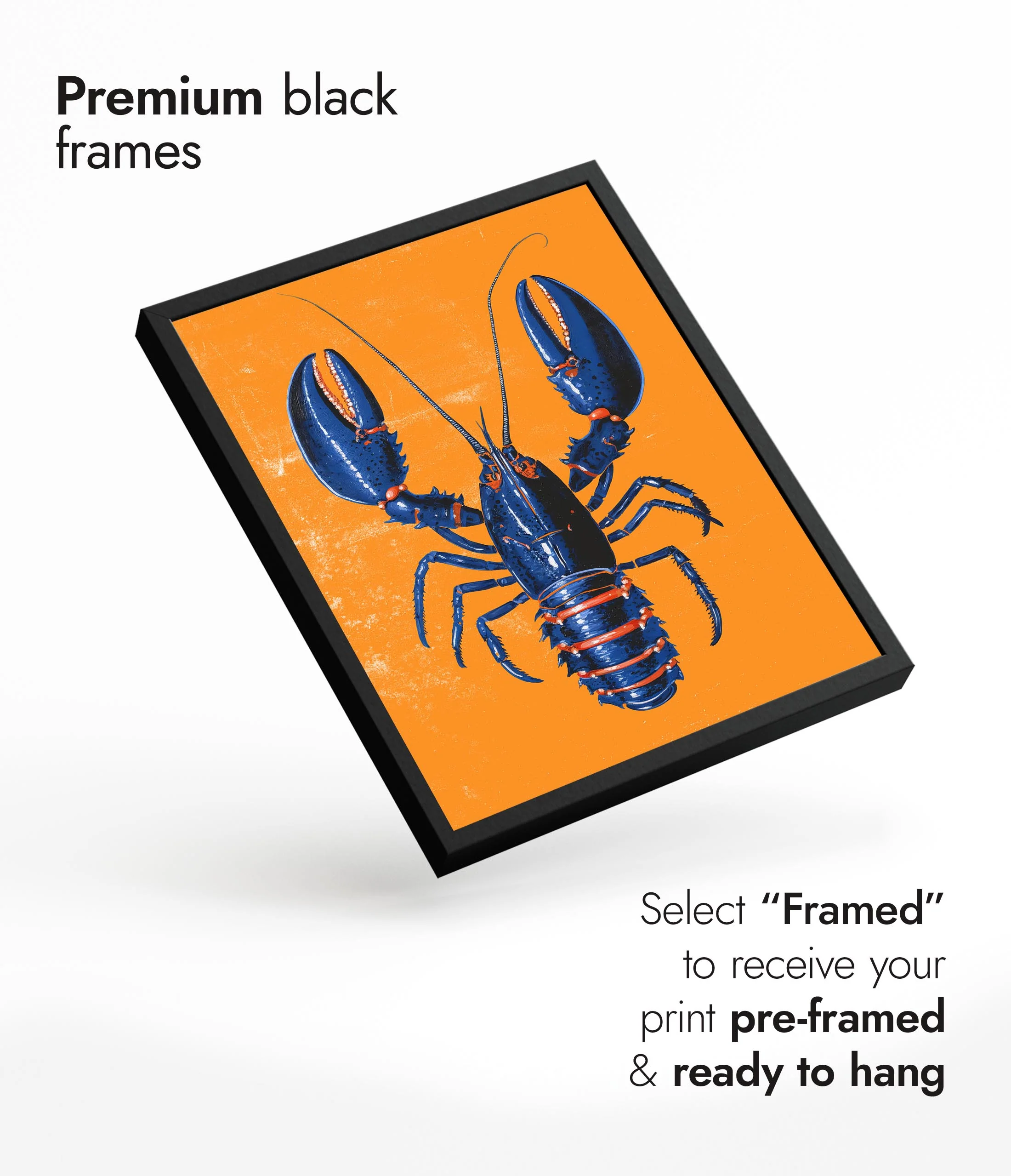 Blue Lobster - Image 7