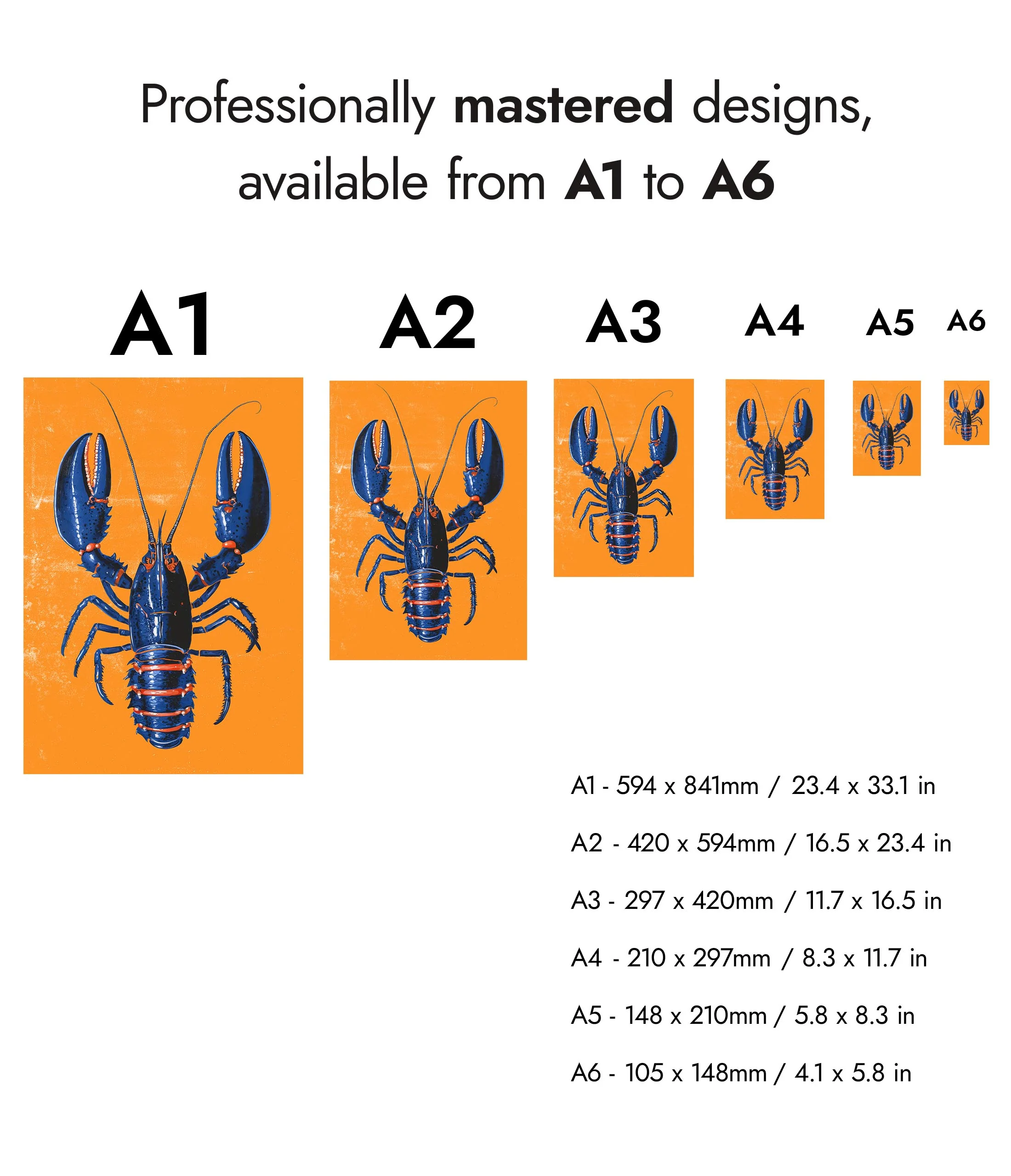 Blue Lobster - Image 8