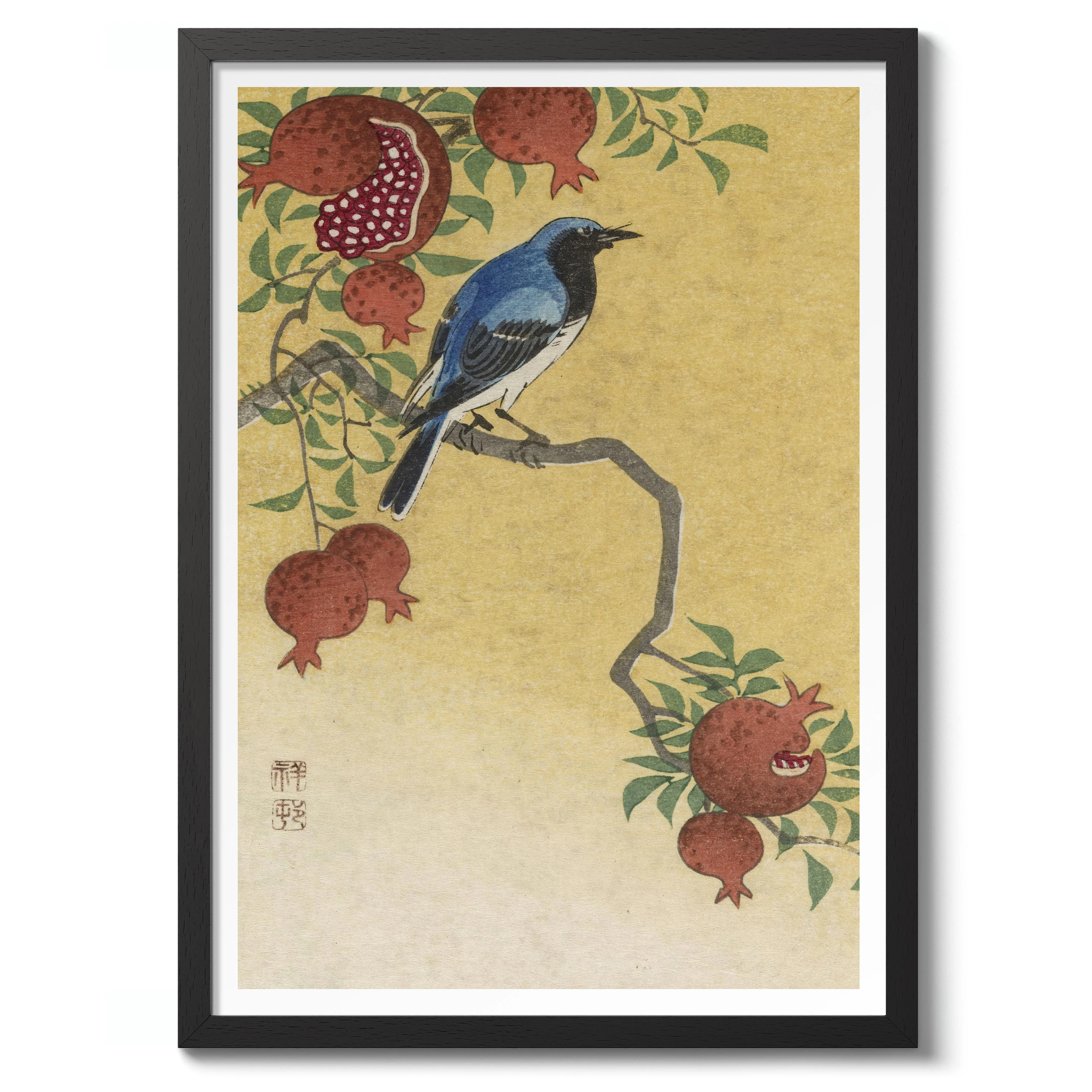 Blue Robin Perched on Pomegranate Tree - Image 2