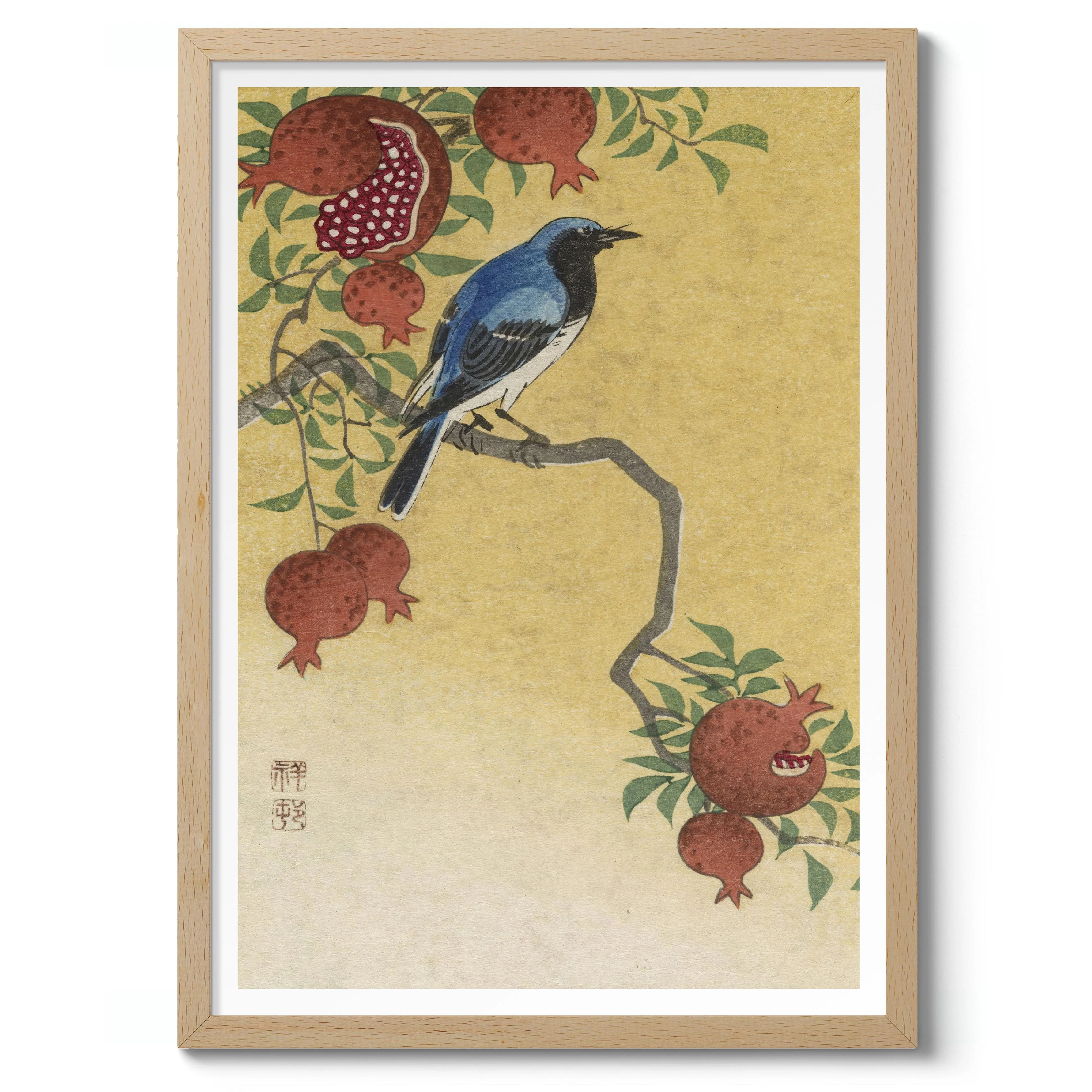 Blue Robin Perched on Pomegranate Tree - Image 3
