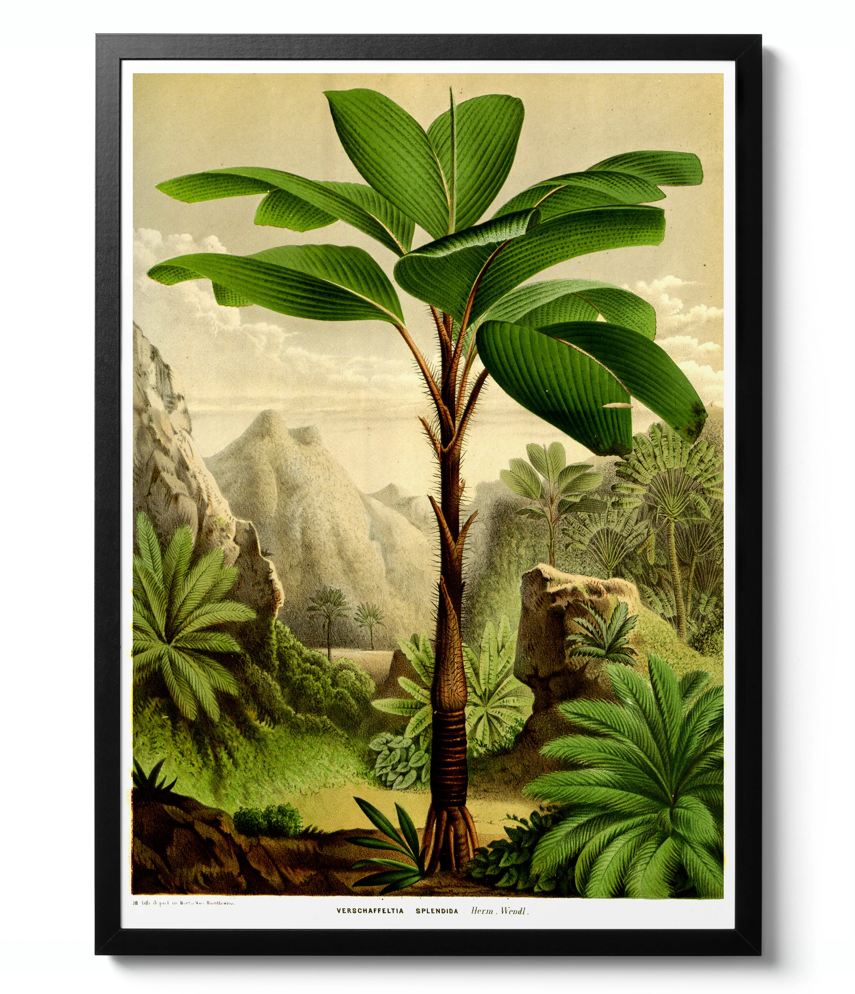 Botanical Trees - Set of 3 - Image 11