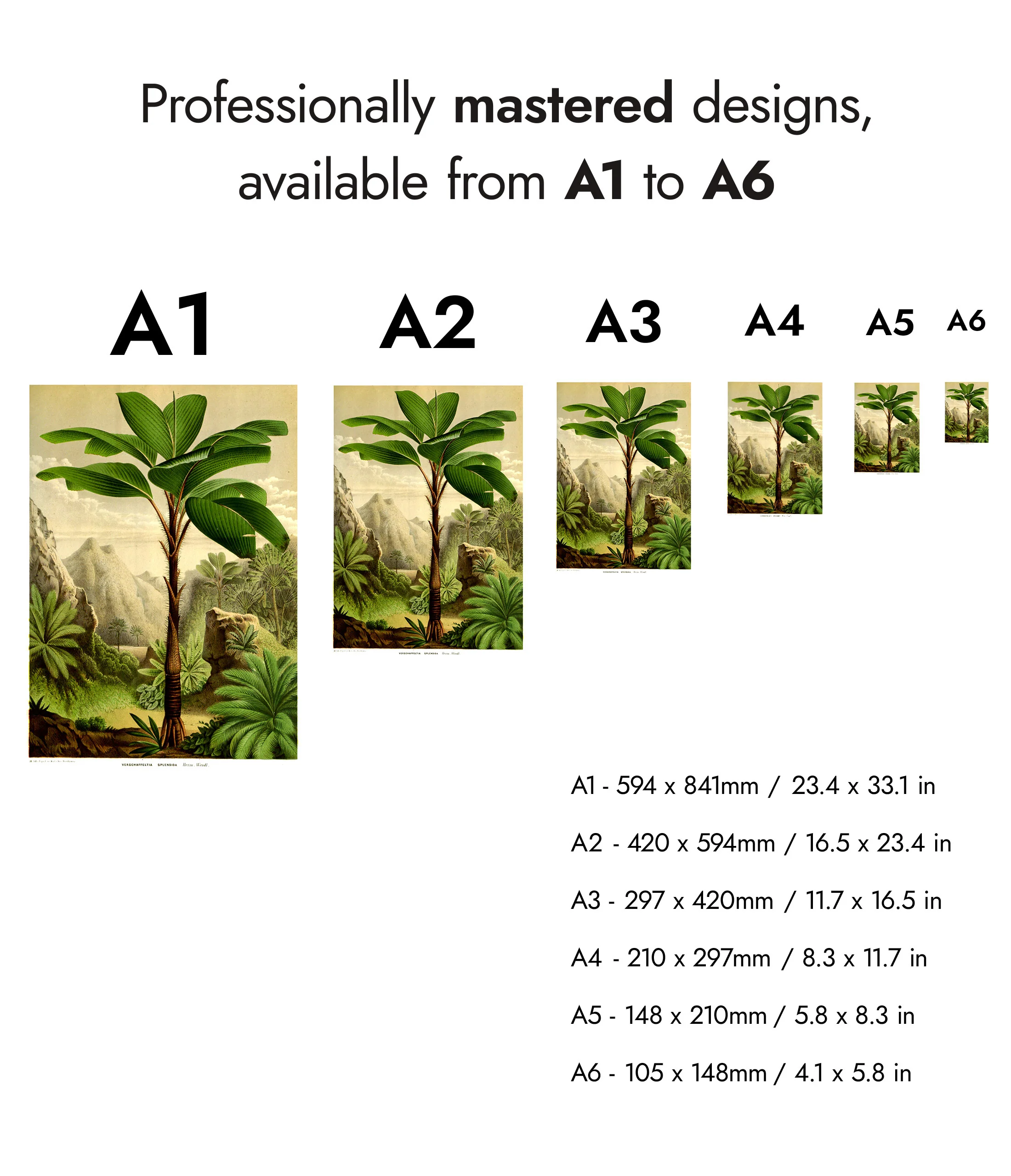 Botanical Trees - Set of 3 - Image 8
