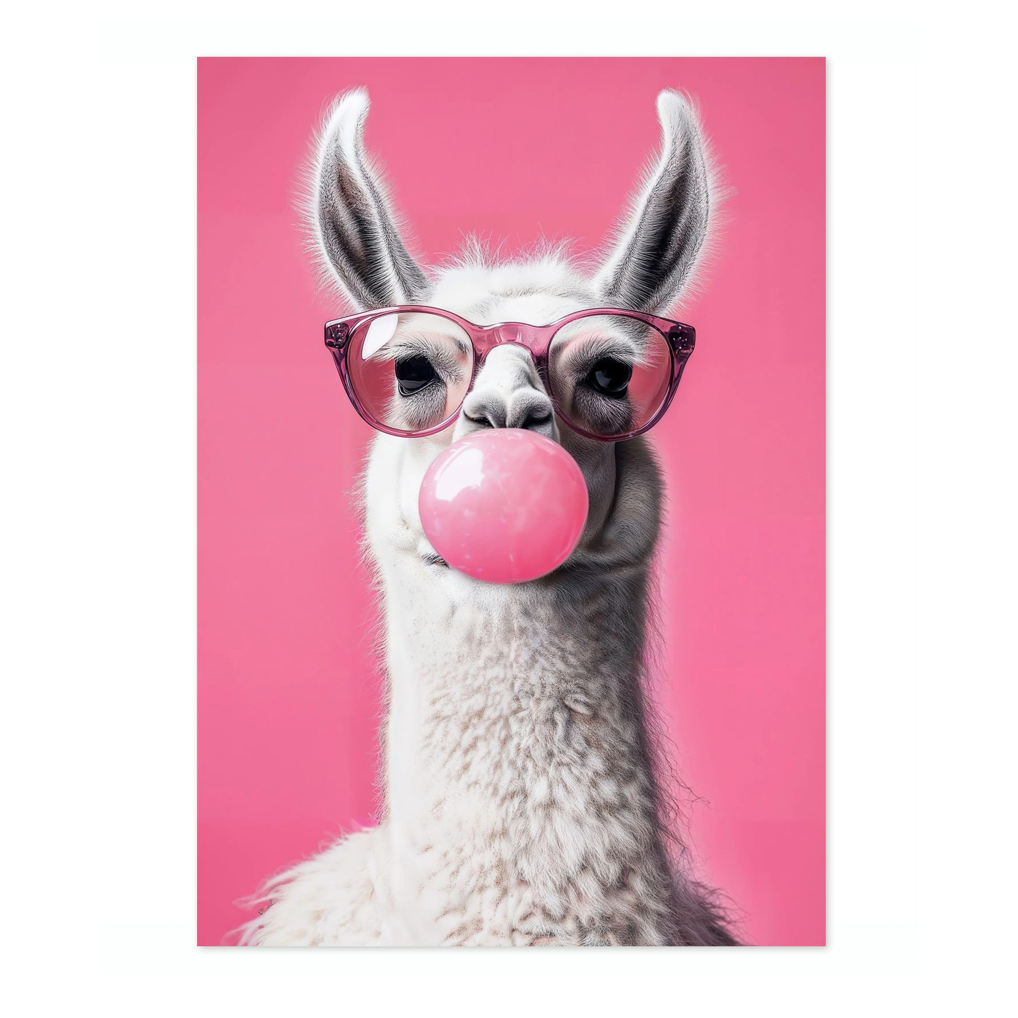 Bubblegum Llama - Image 4