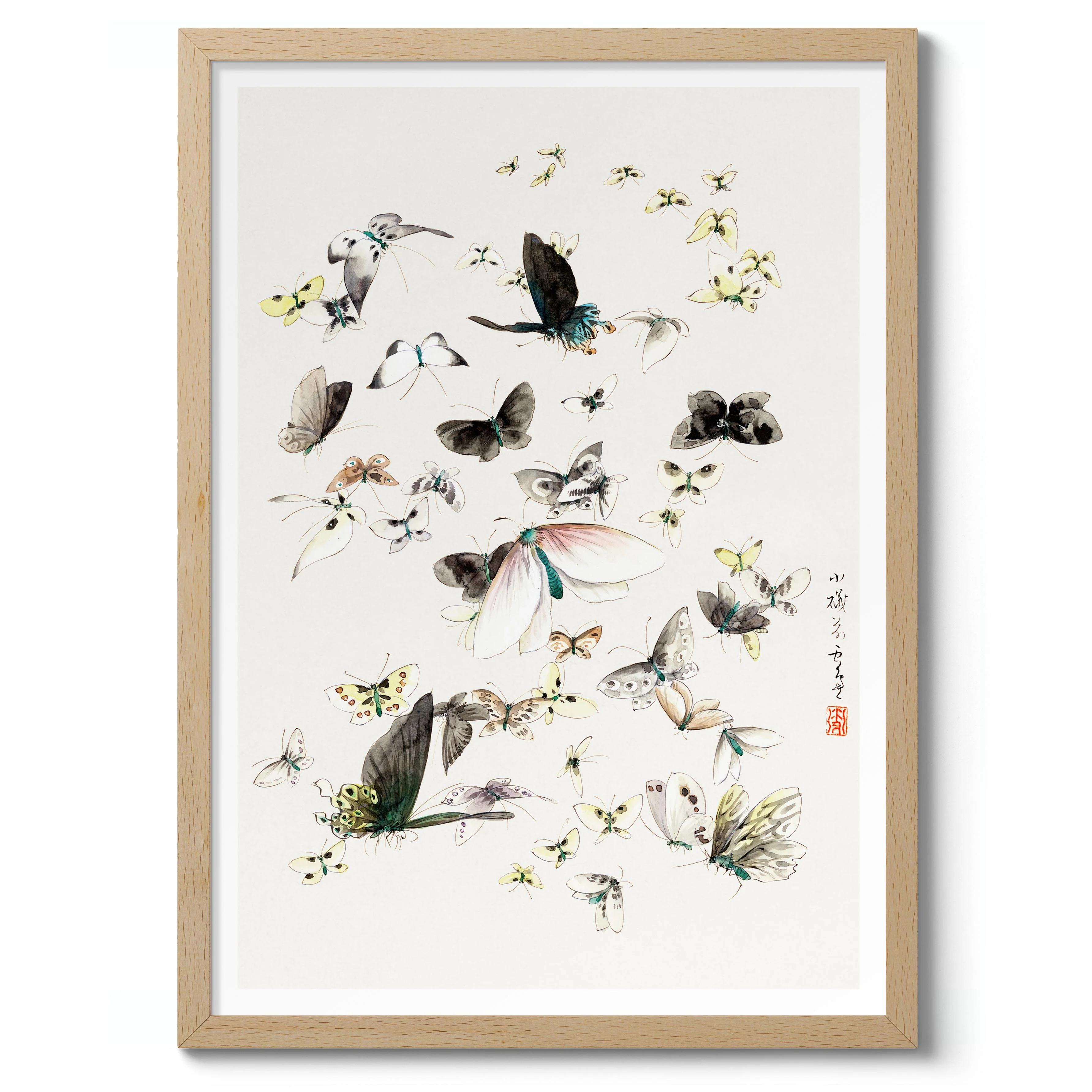 Butterflies & Moths - Image 3