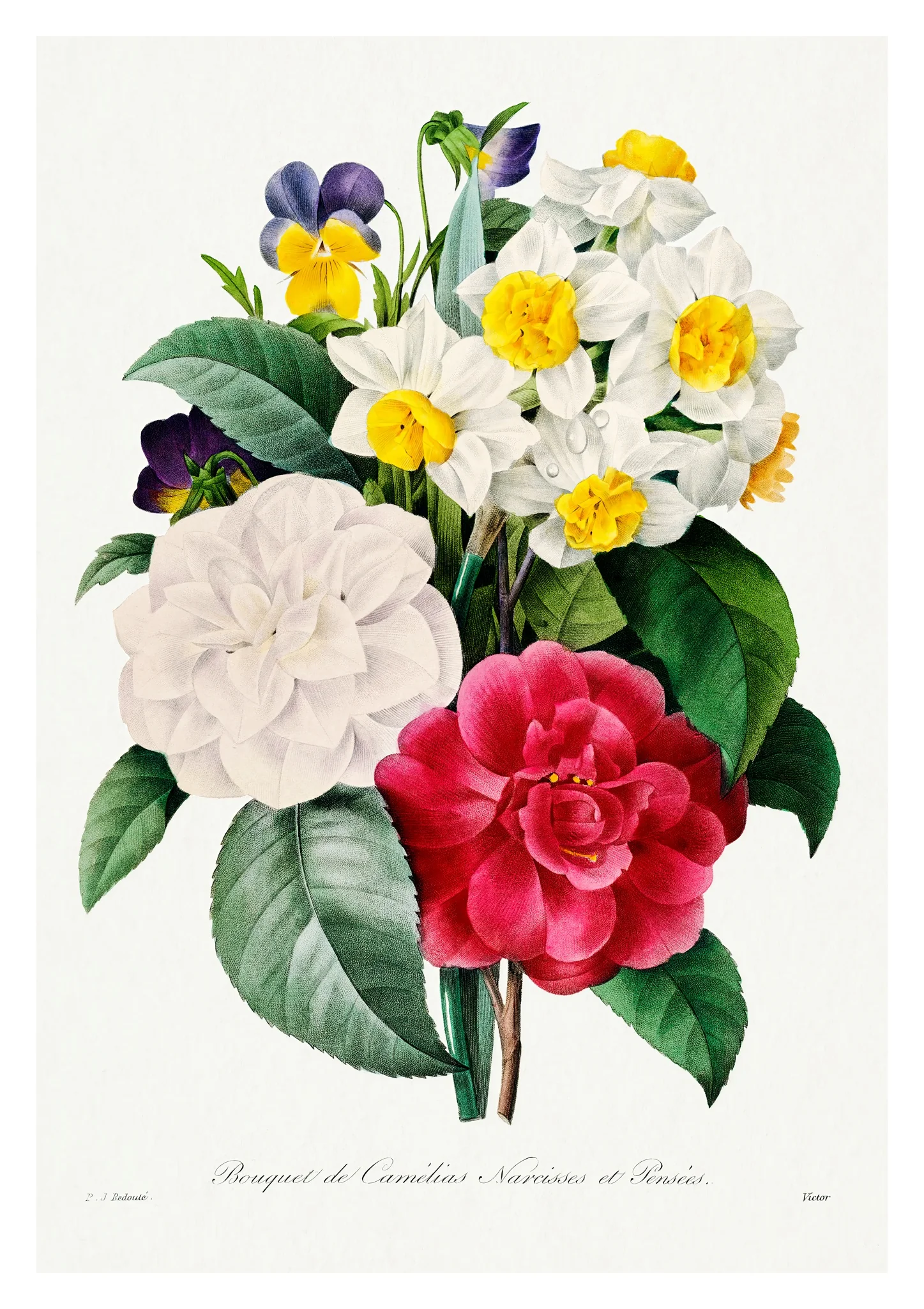 Camellia and Pansy Bouquet