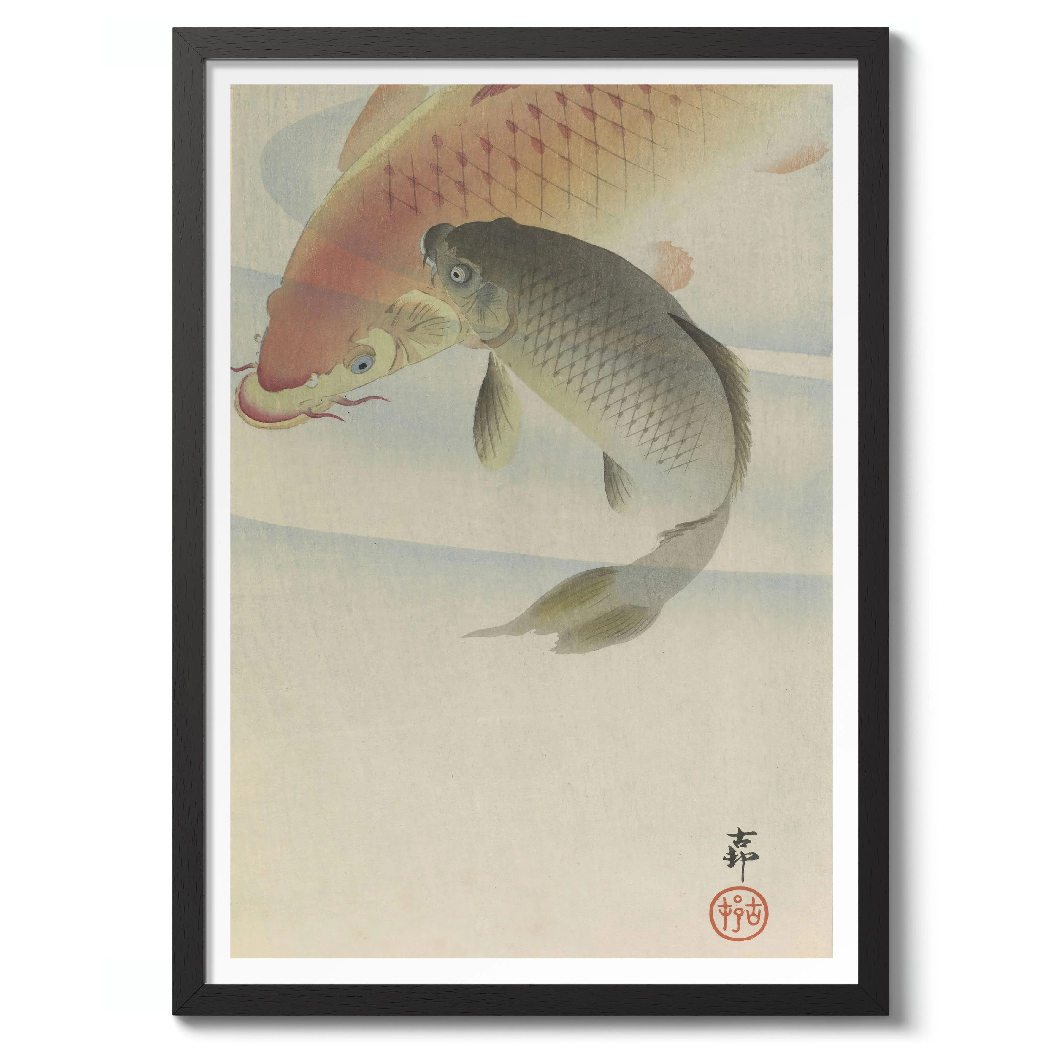 Carp - Image 2