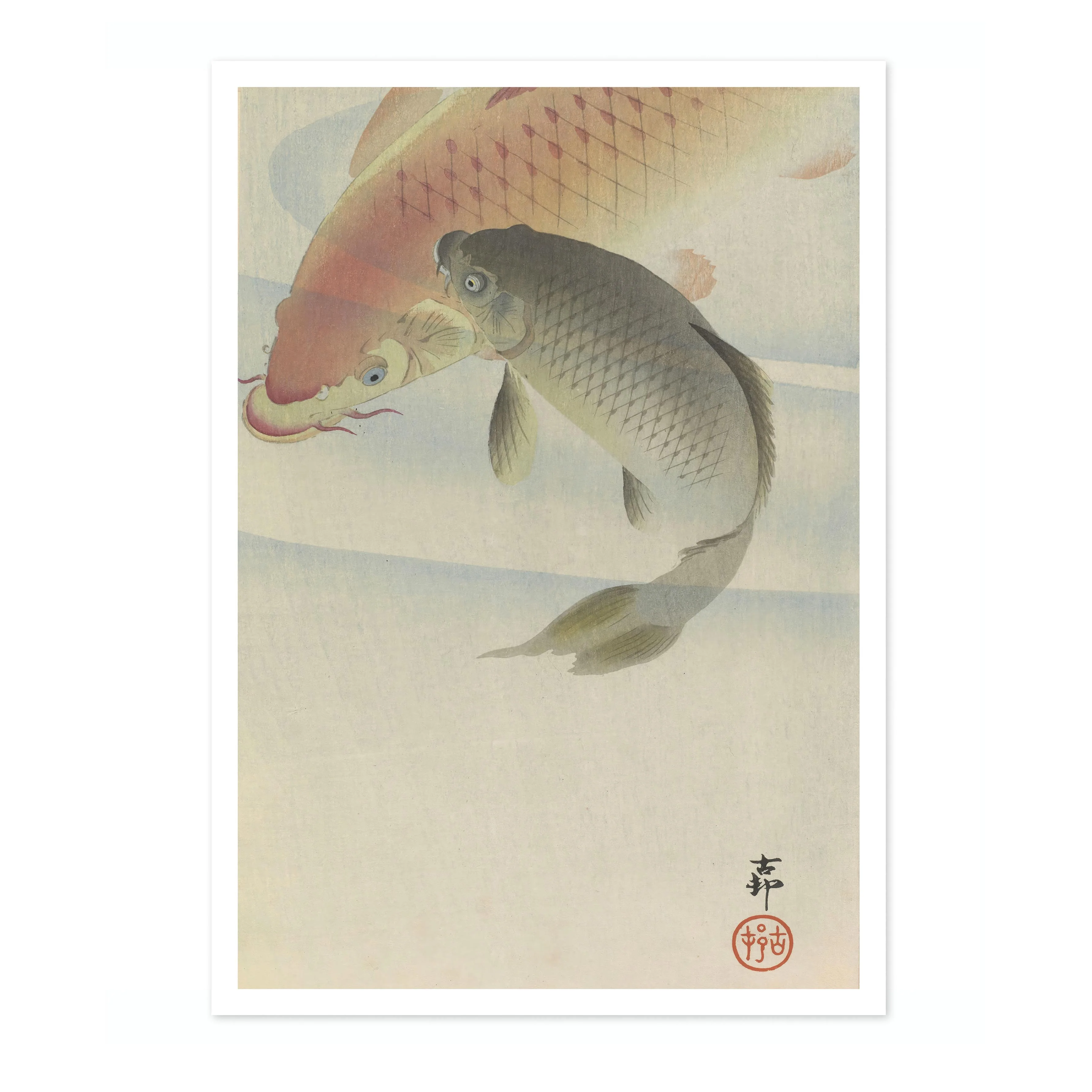 Carp - Image 4