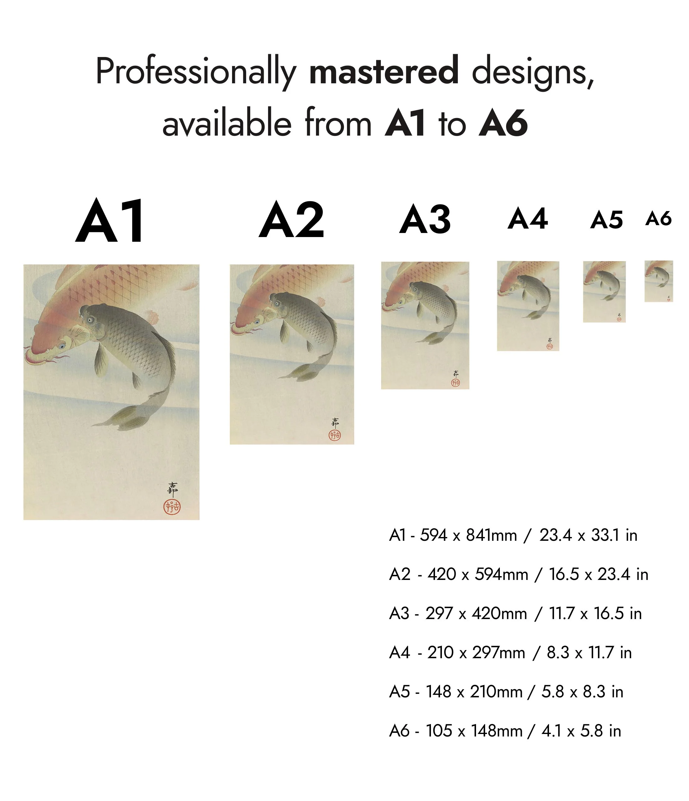 Carp - Image 8