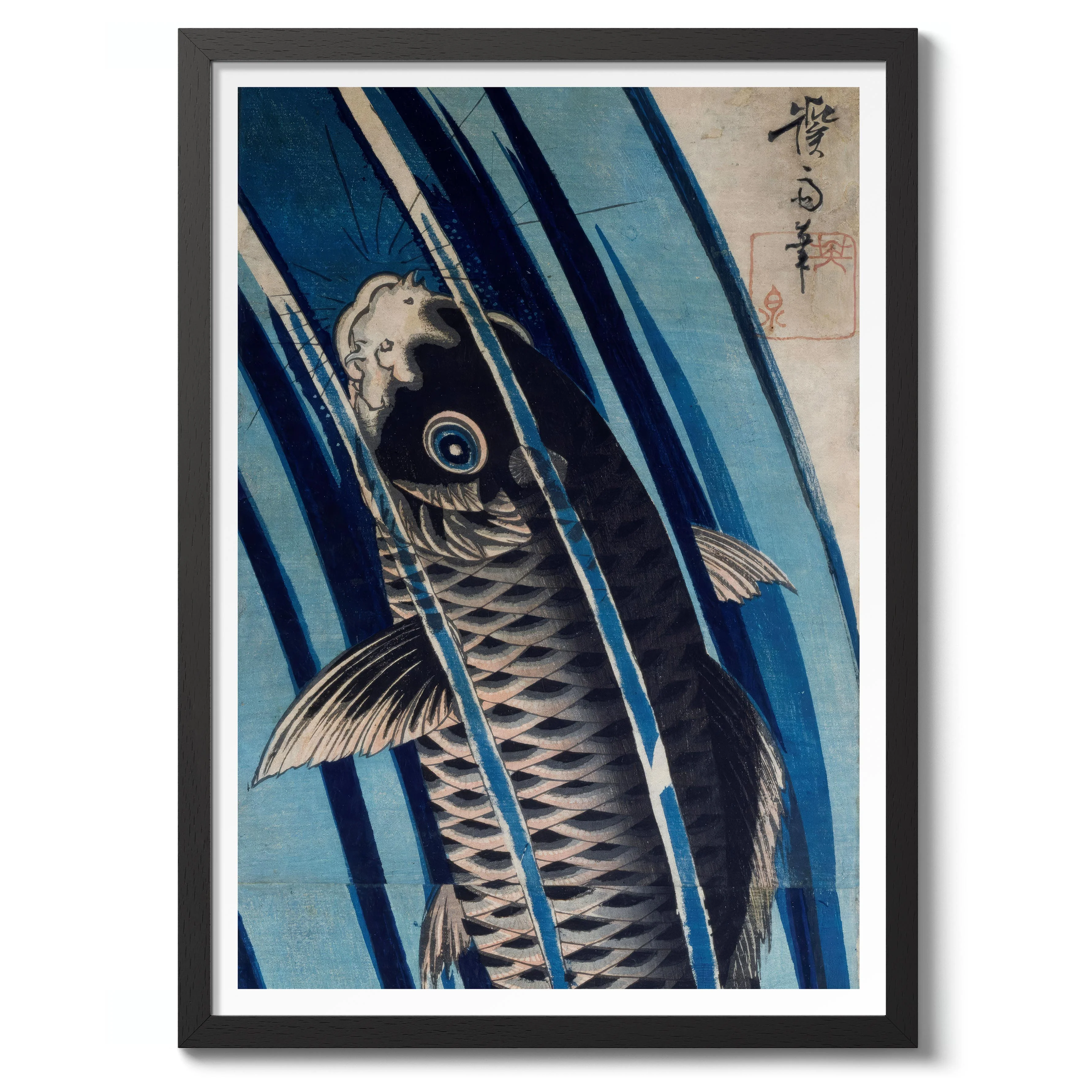 Carp - Image 2
