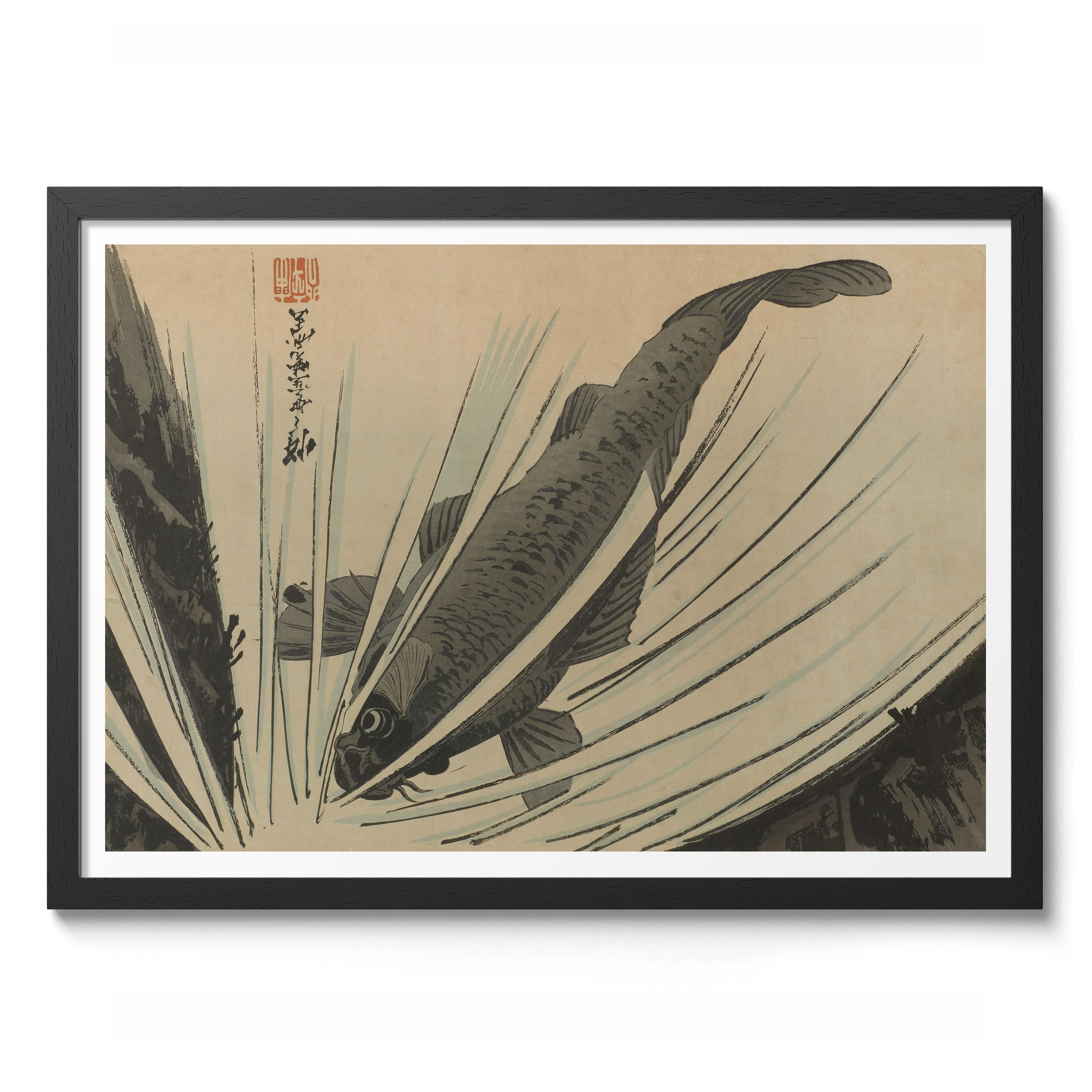 Carp - Image 2