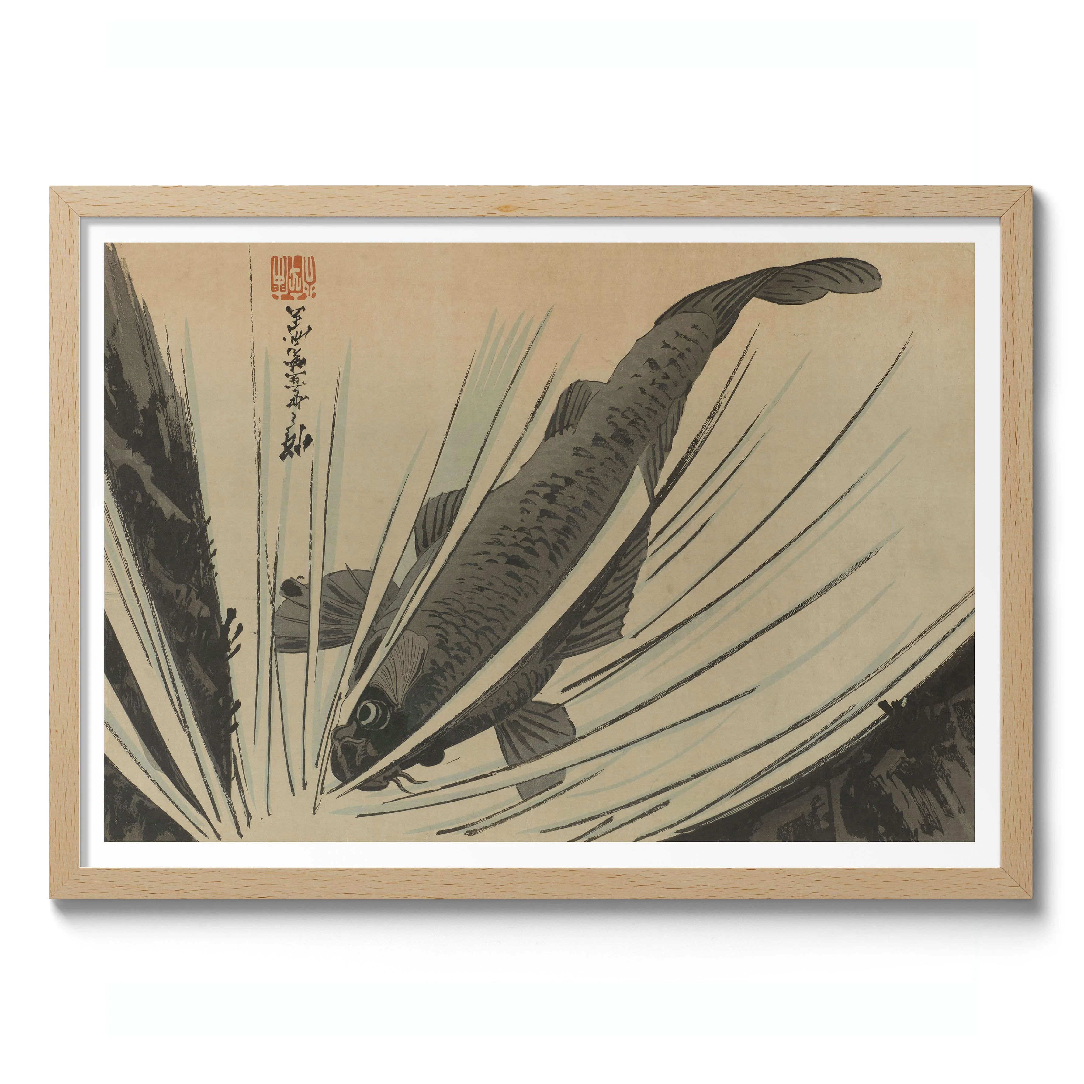 Carp - Image 3
