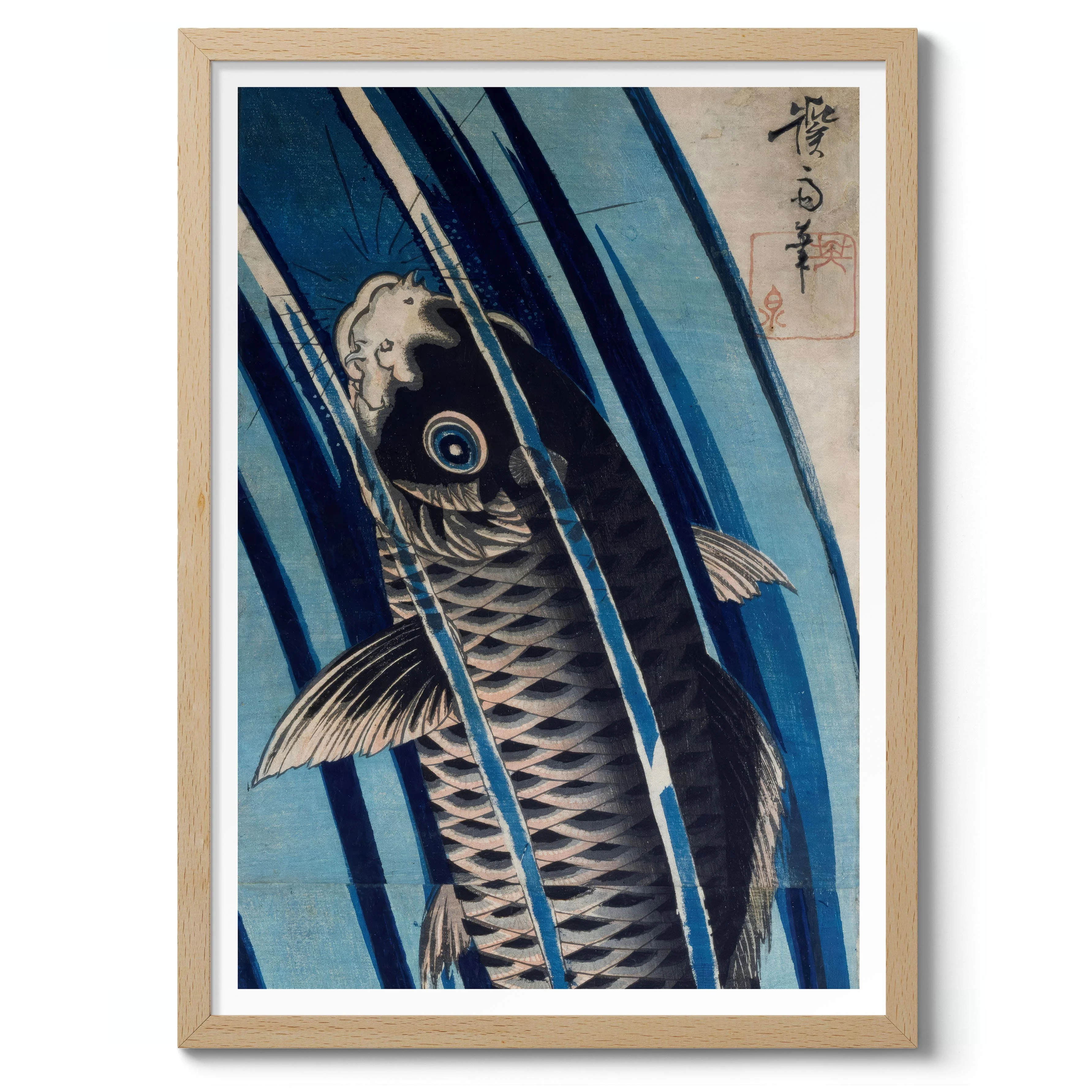 Carp - Image 3