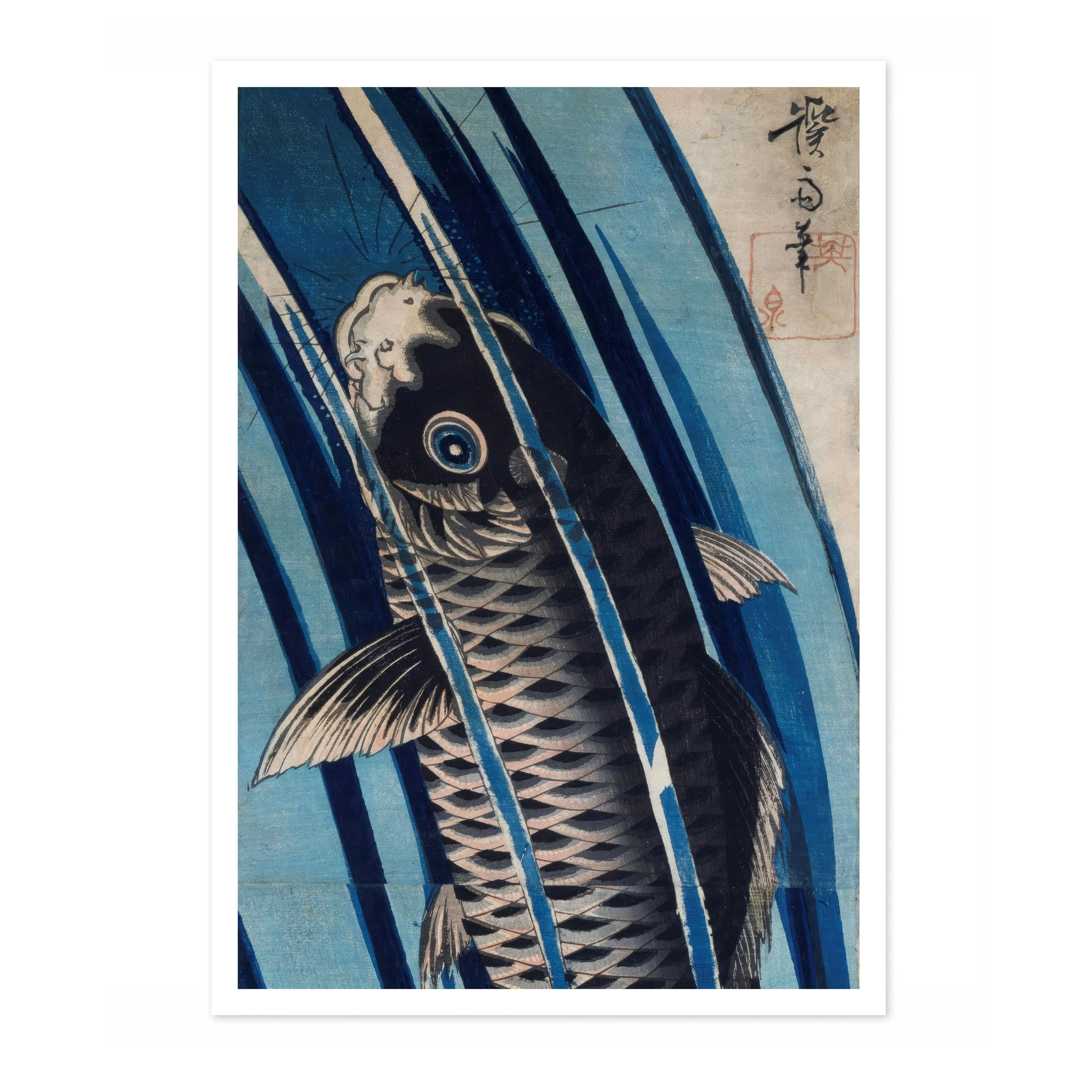 Carp - Image 4