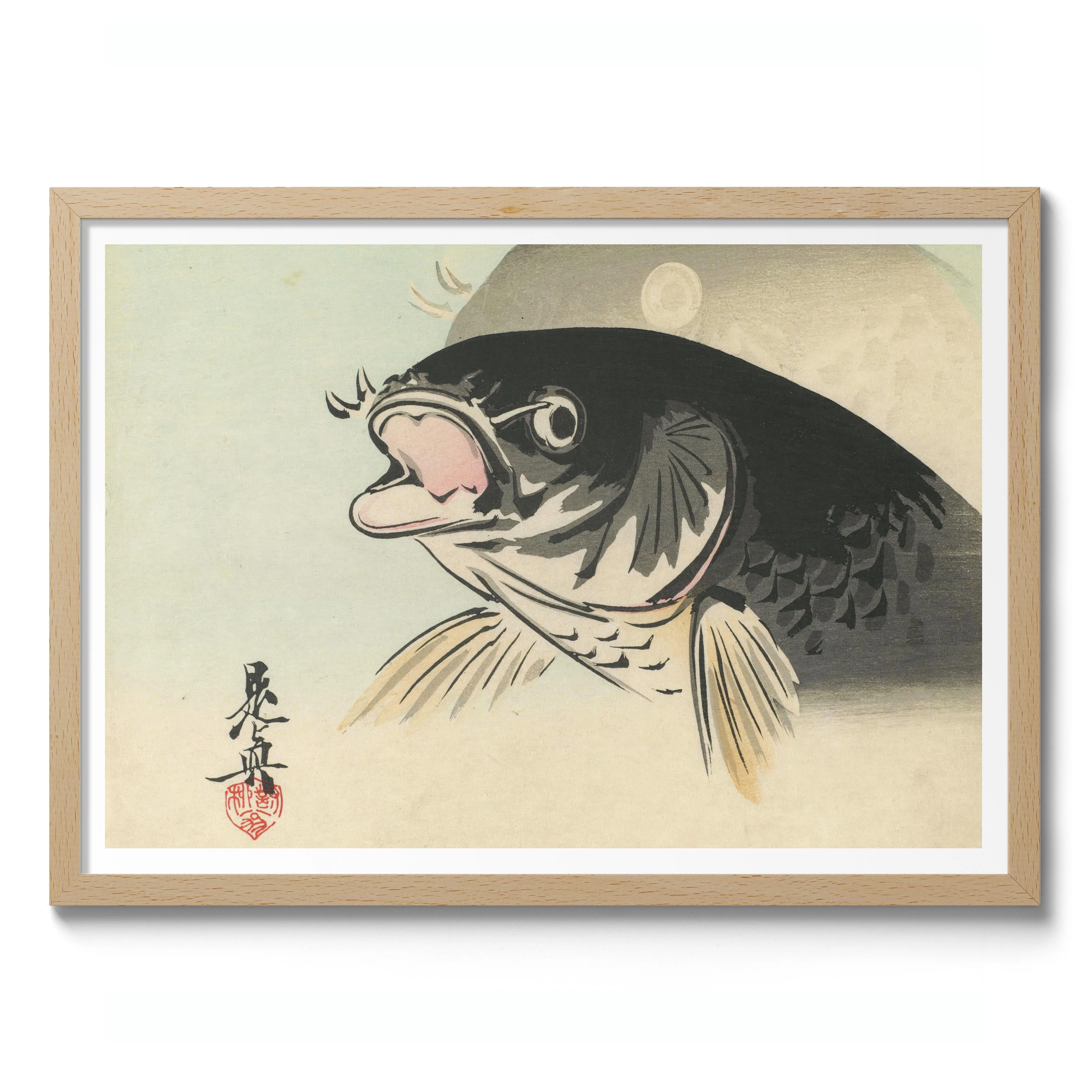 Carp - Image 3