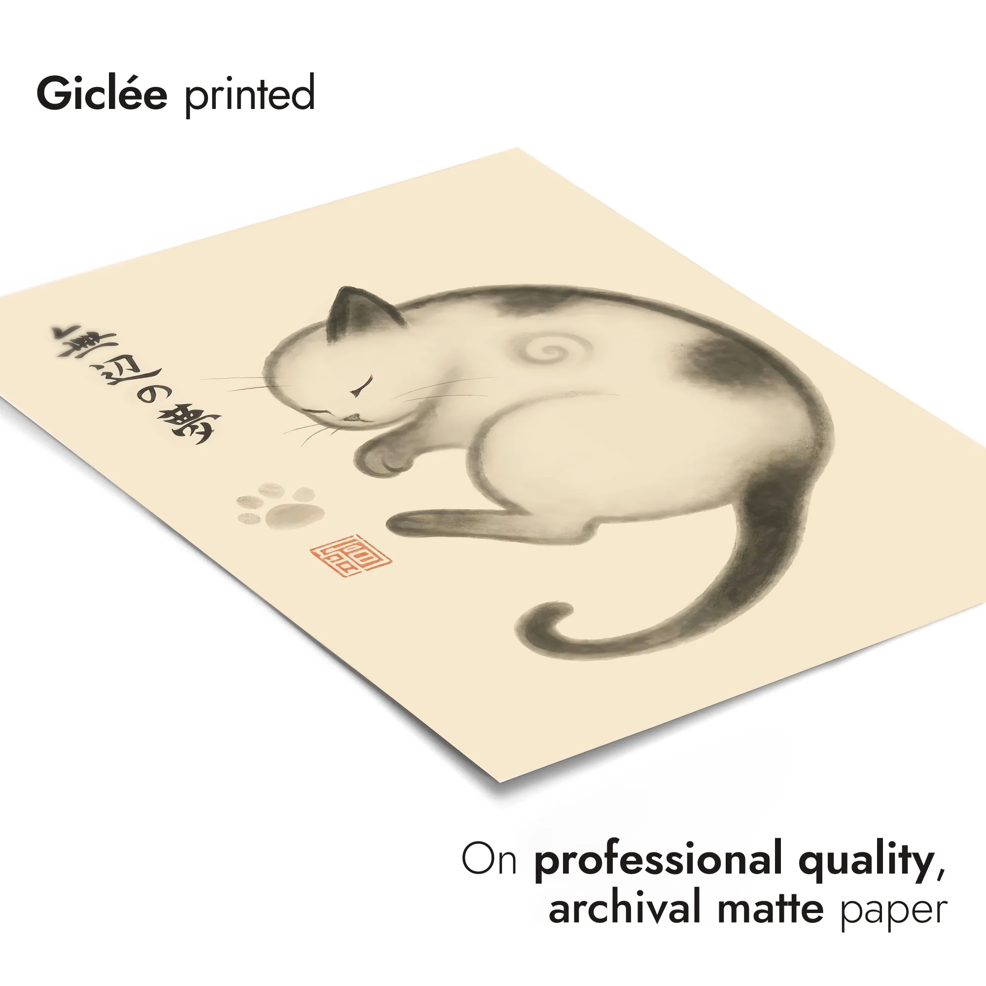 Cat - Image 6