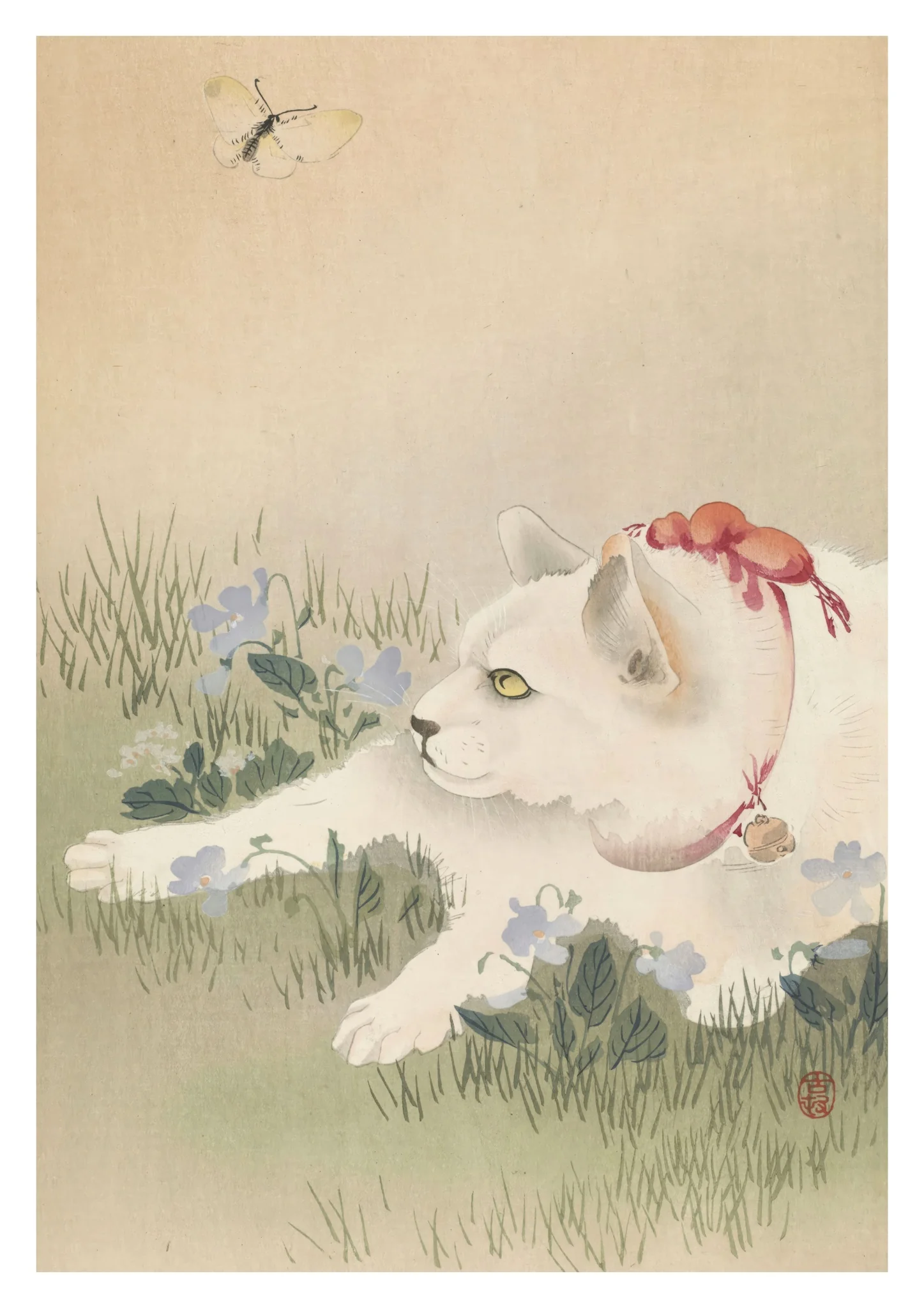 Cat & Butterfly