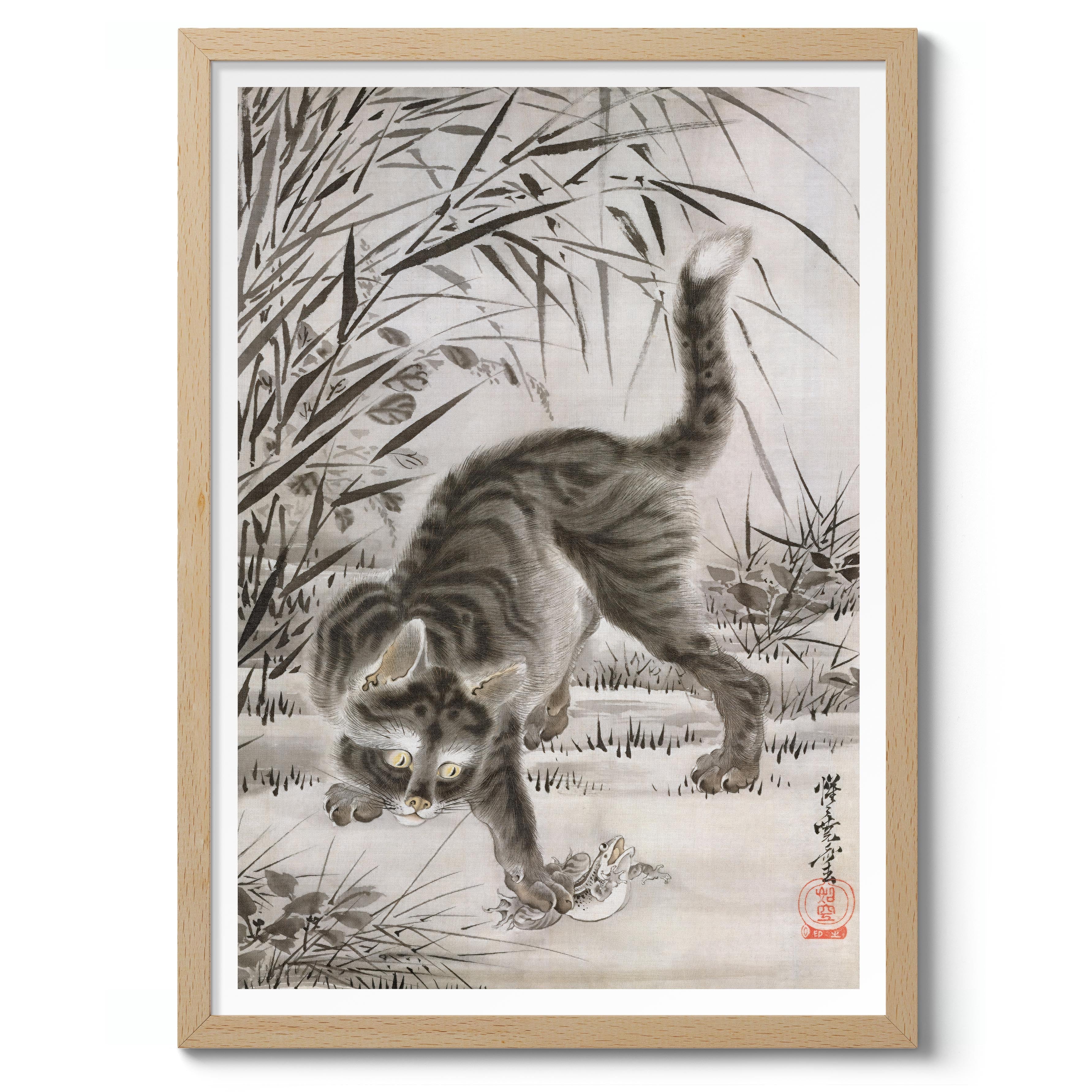 Cat Catching a Frog - Image 3