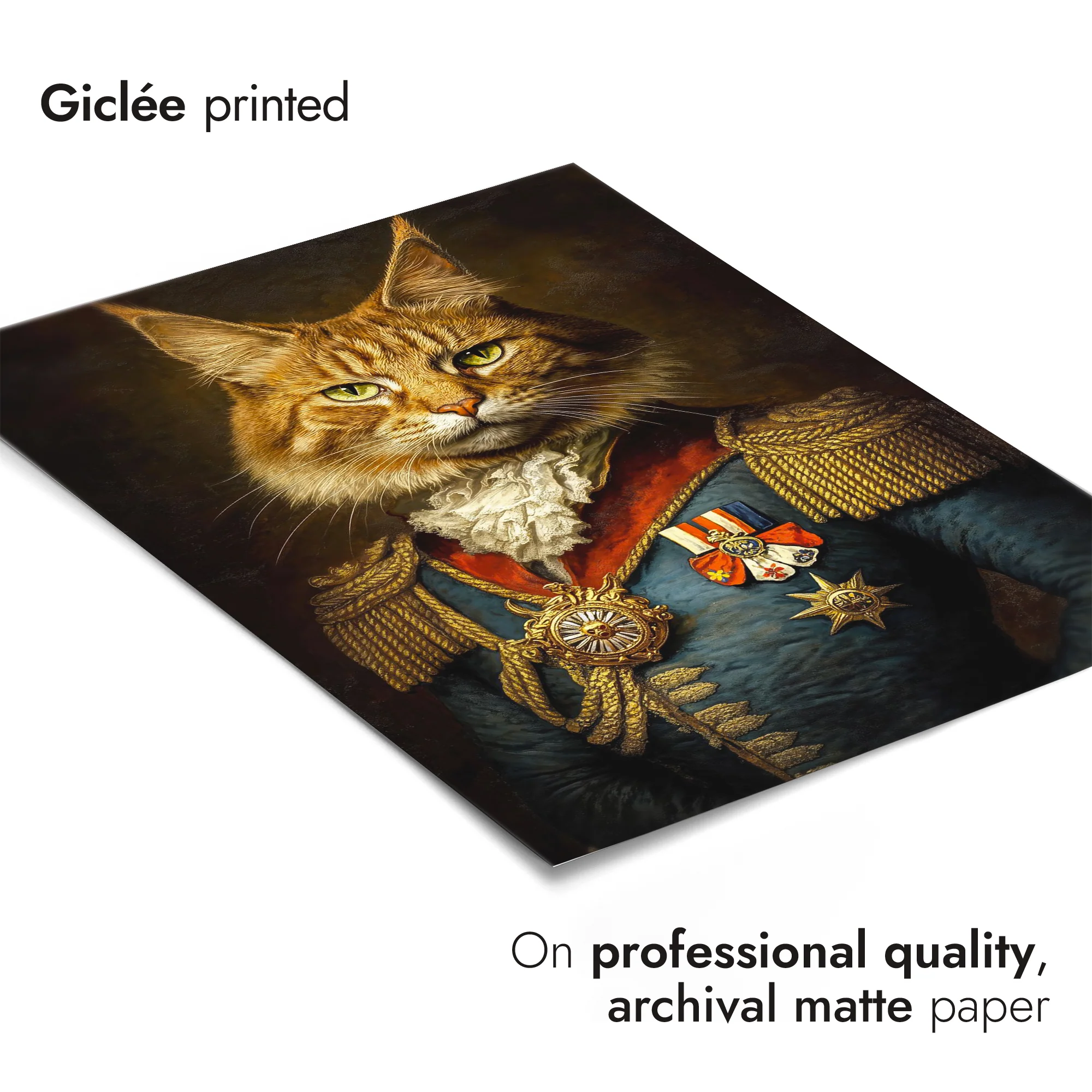Cat General - Image 6