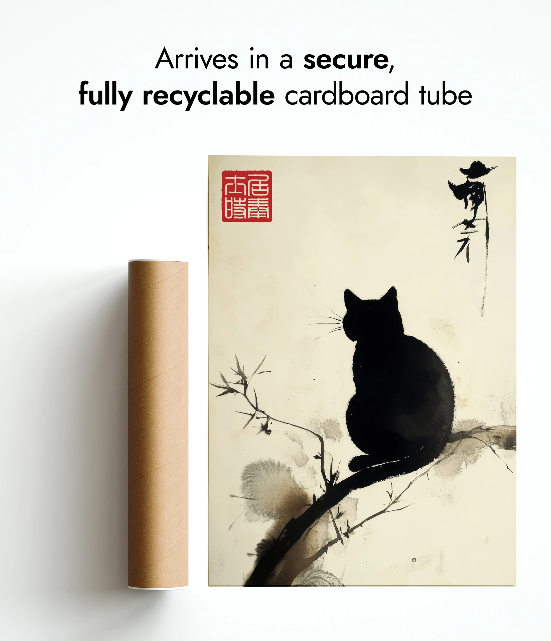 Cat II - Image 9