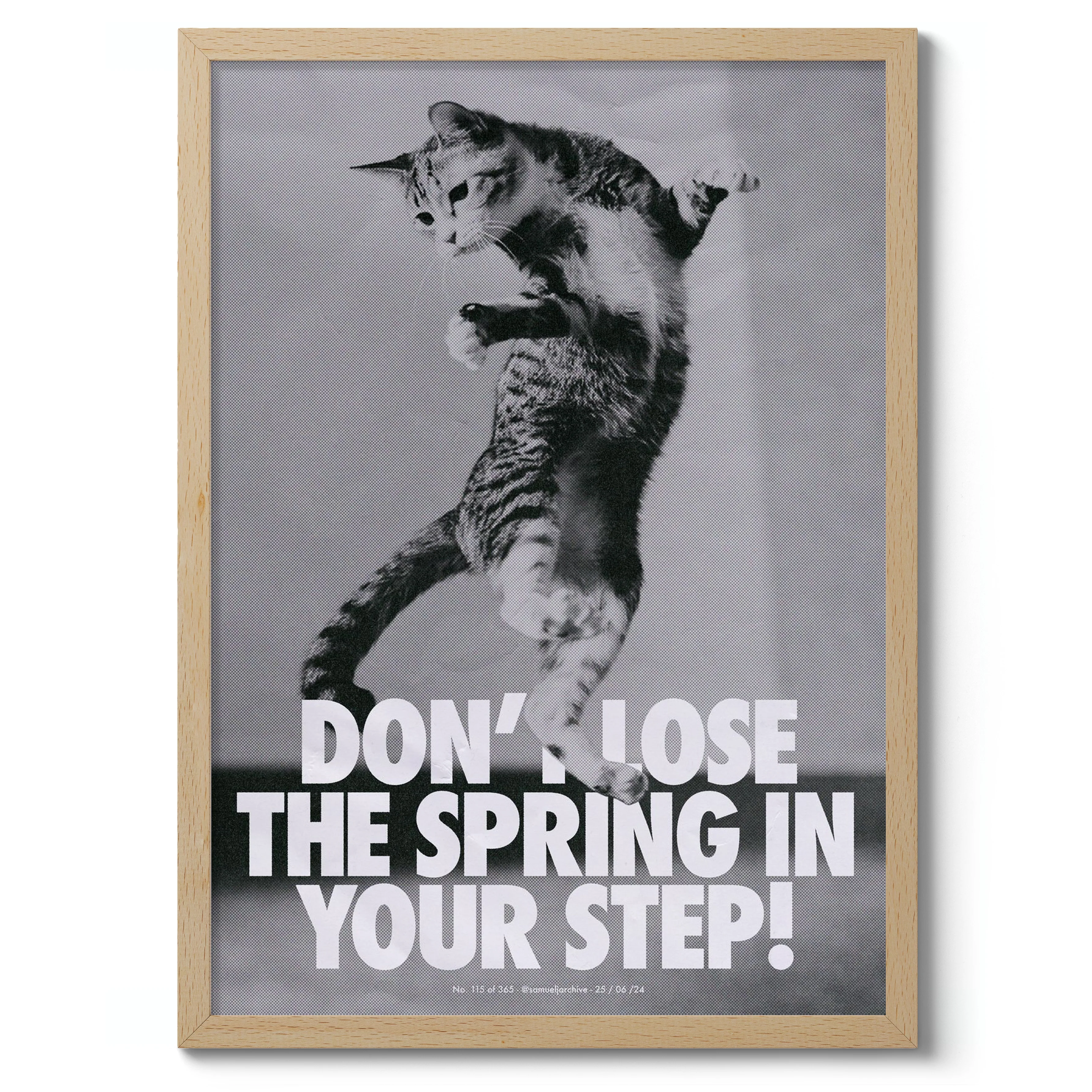 Cat Jump - Image 3